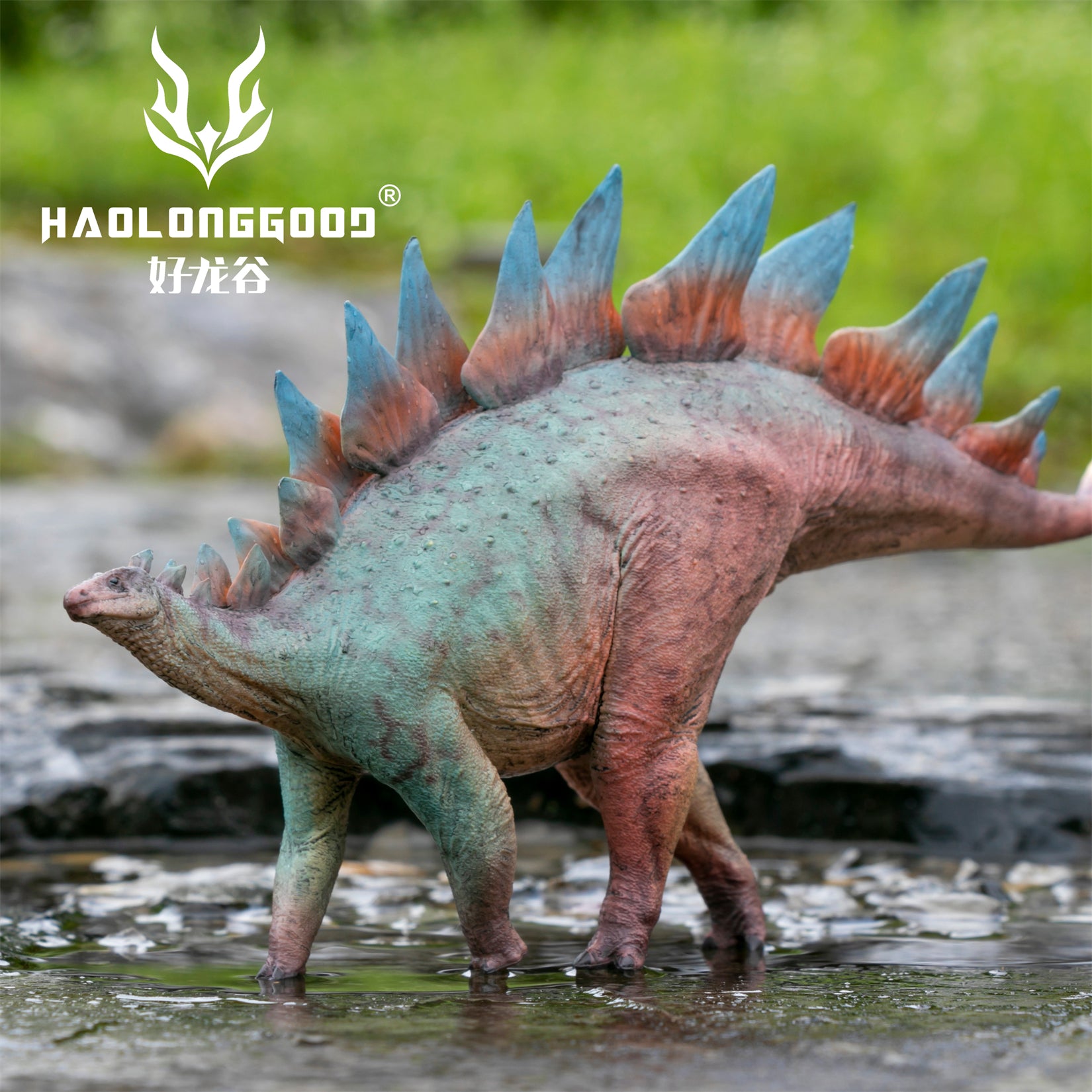 HAOLONGGOOD 1:35 Scale Stegosaurus Model