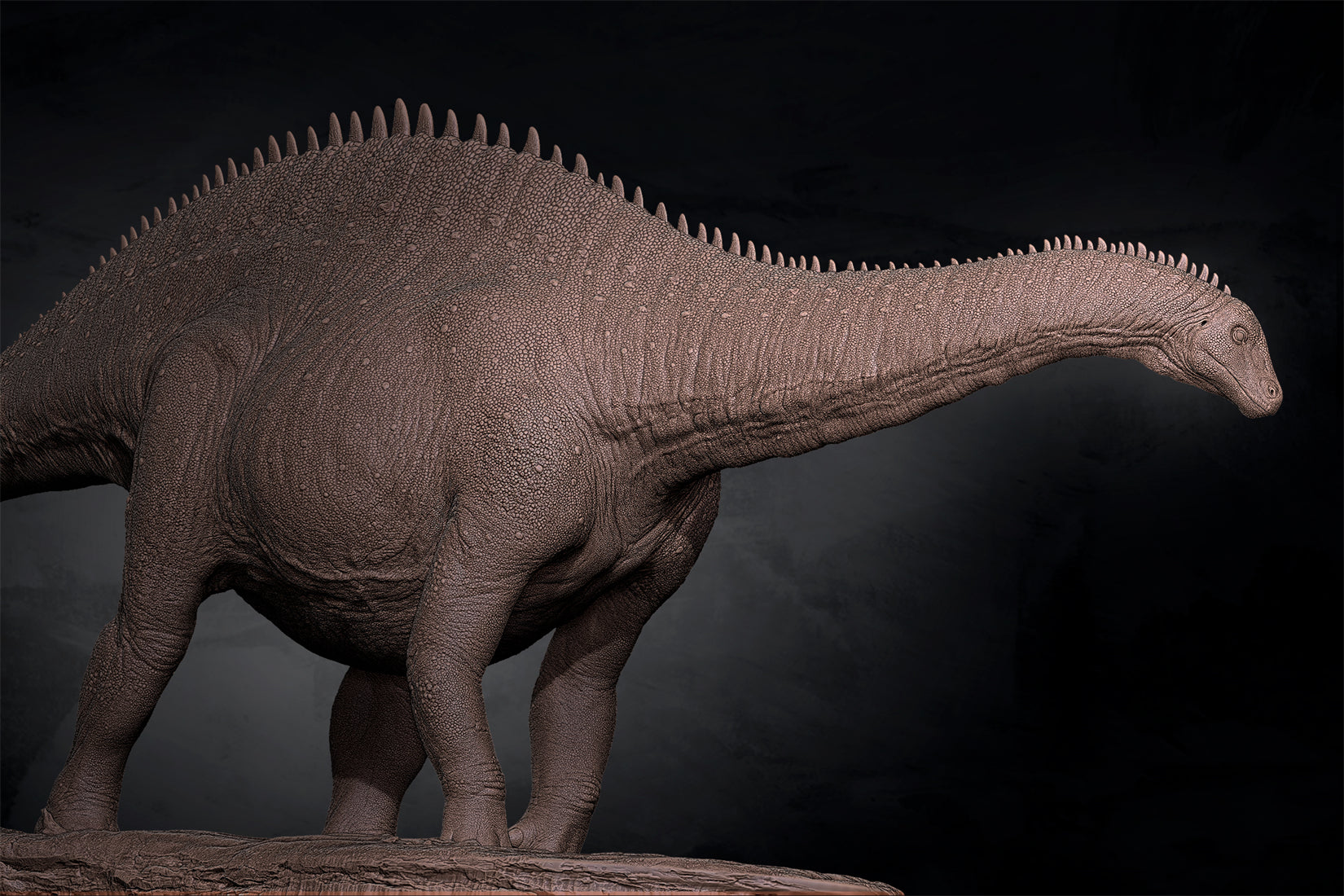 Anningpale 1:35 Scale Maraapunisaurus Model
