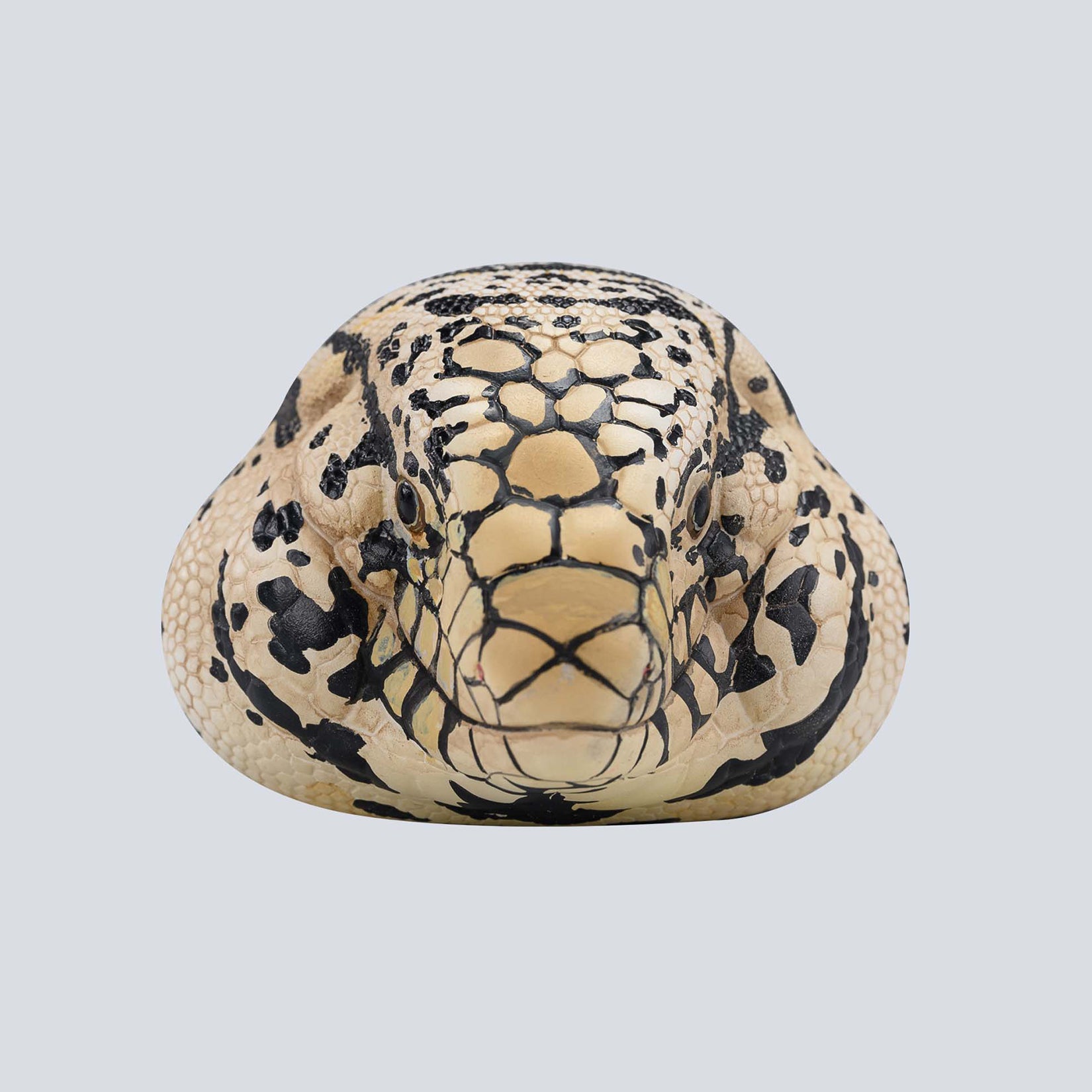 Animal Planet 16 Lizard Blind Box Model