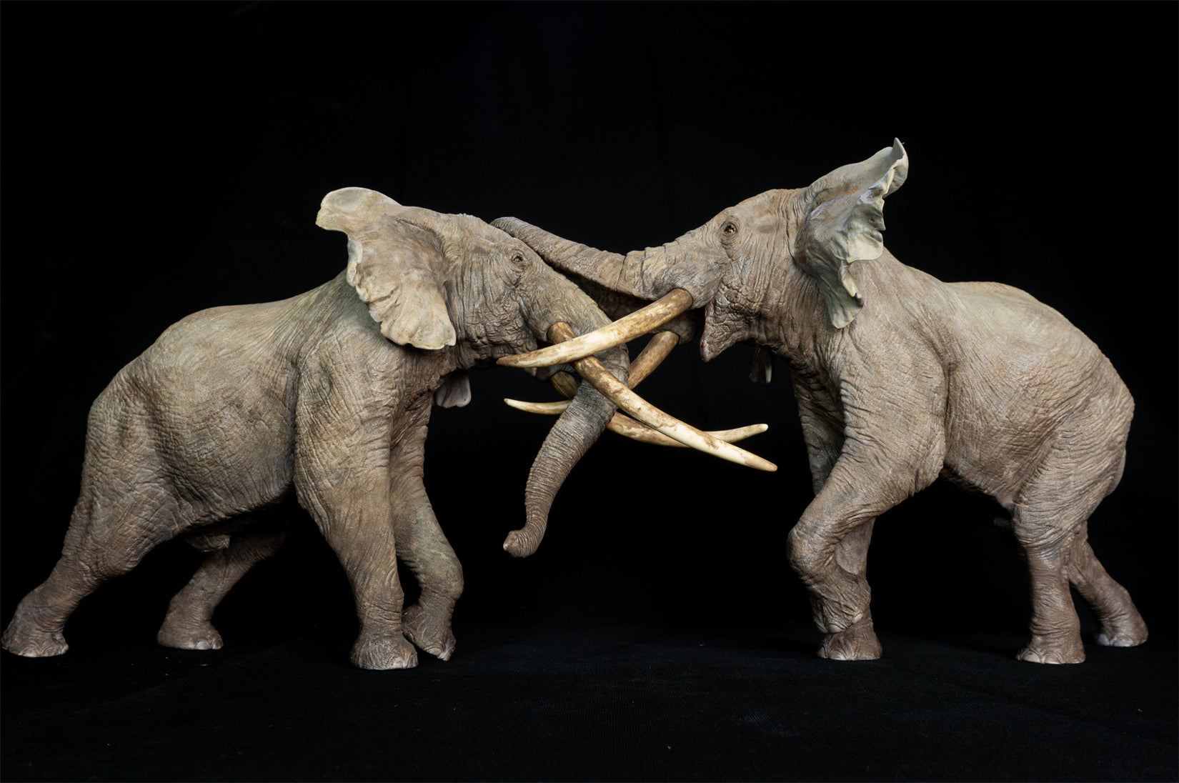 De CLAY Studio African Elephant battling bulls Statue