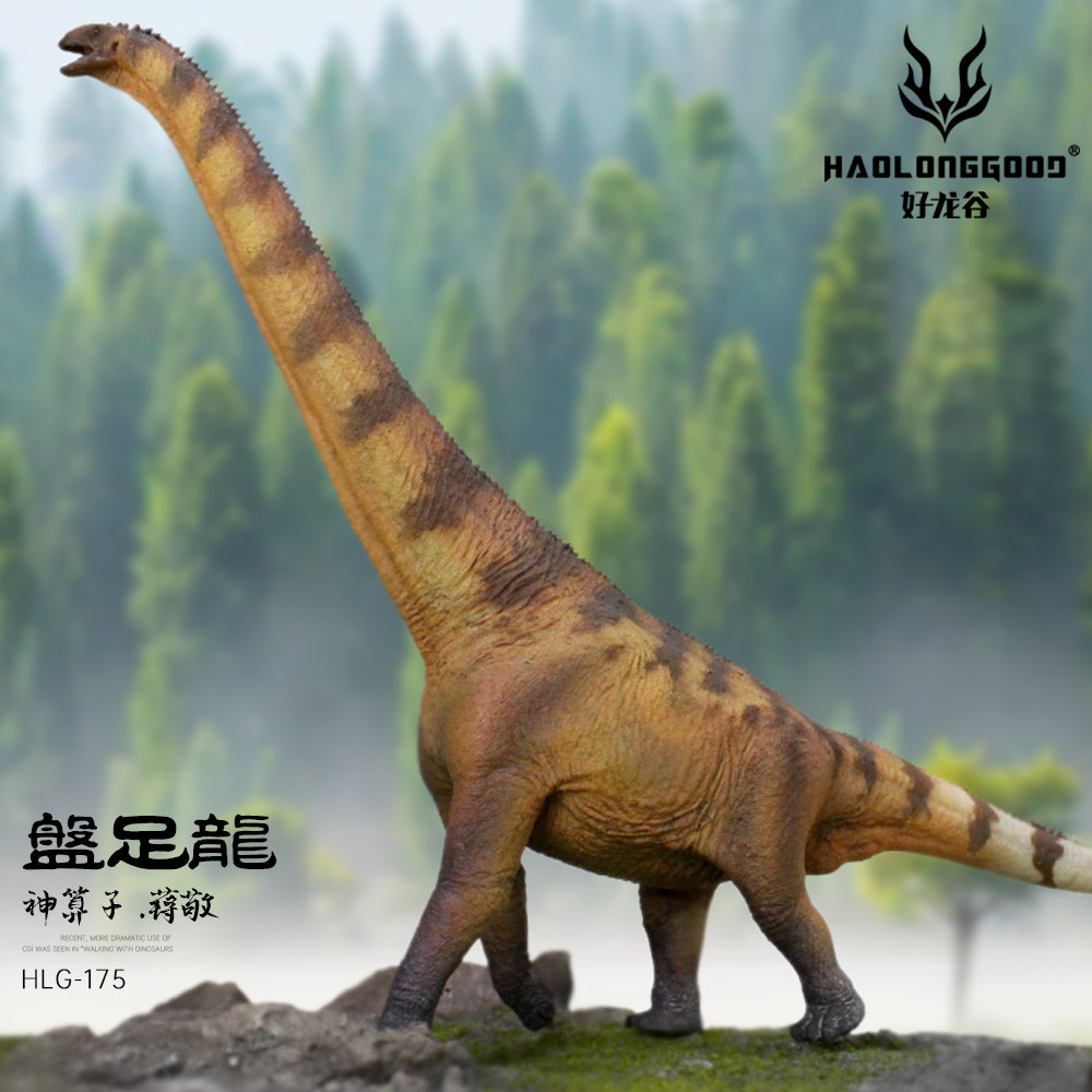 HAOLONGGOOD 1:35 Scale Euhelopus Model