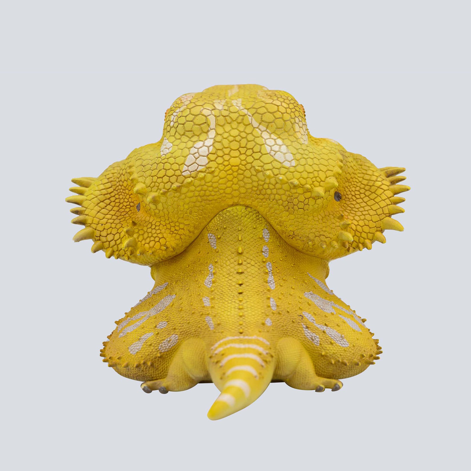 Animal Planet 16 Lizard Blind Box Model