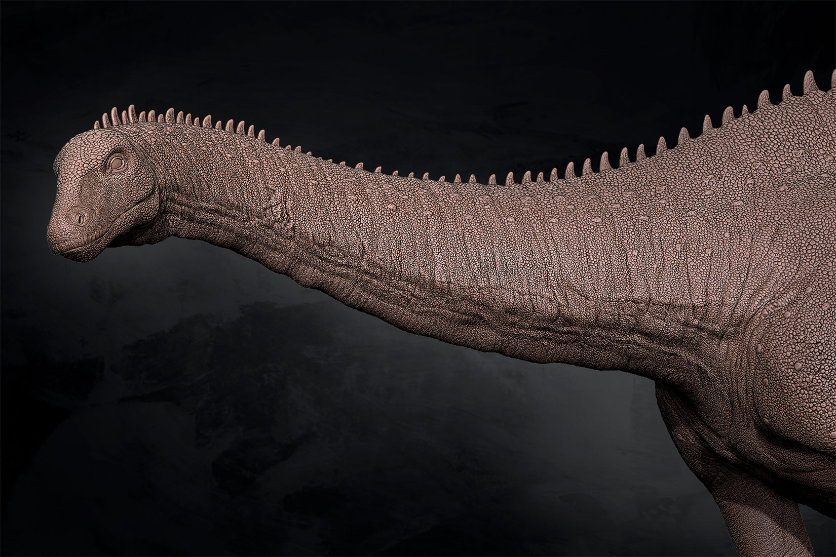 Anningpale 1:35 Scale Maraapunisaurus Model