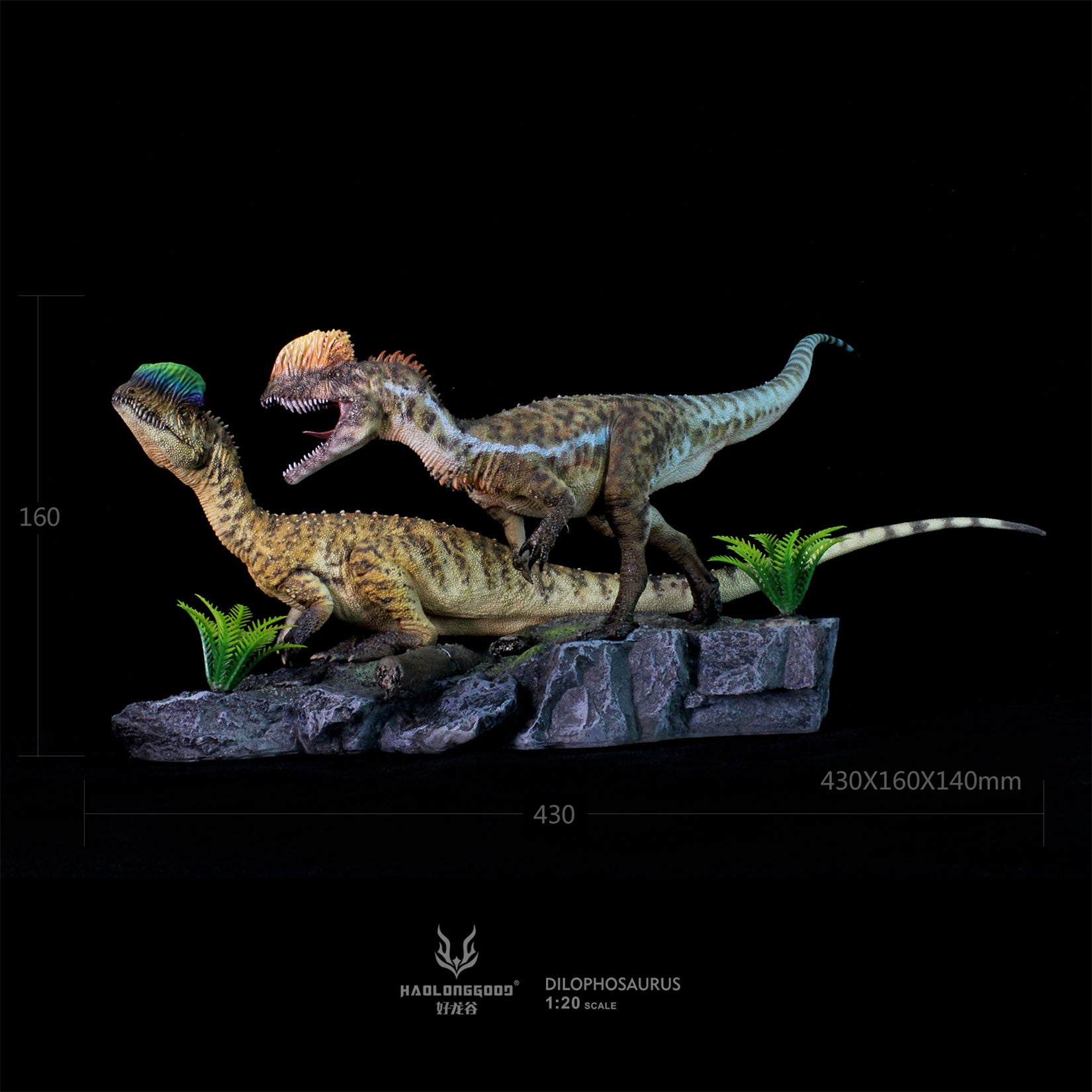 HAOLONGGOOD 1:20 Scale Dilophosaurus Pair Model