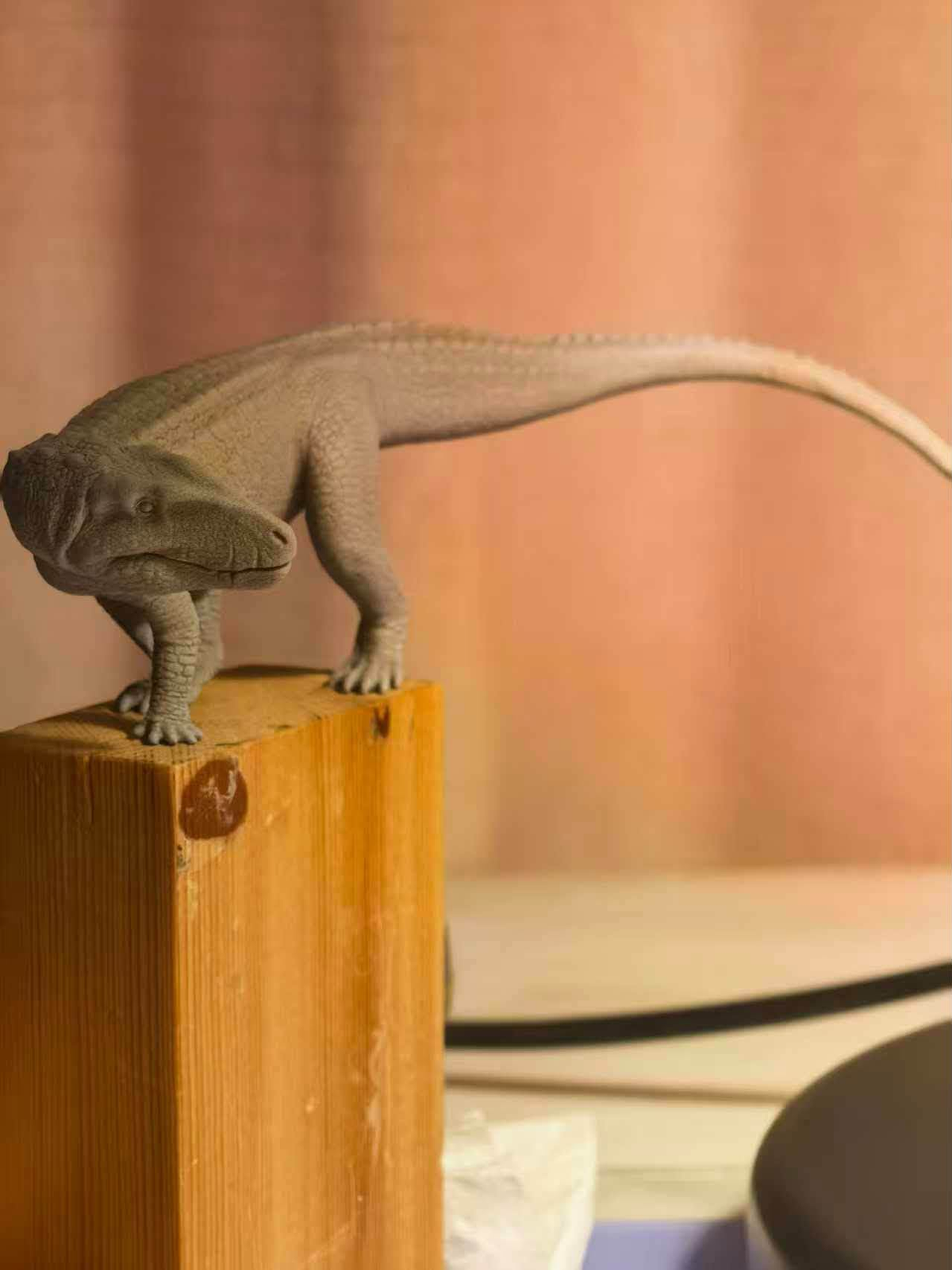 MK Studio 1:20 Scale Austroraptor Model