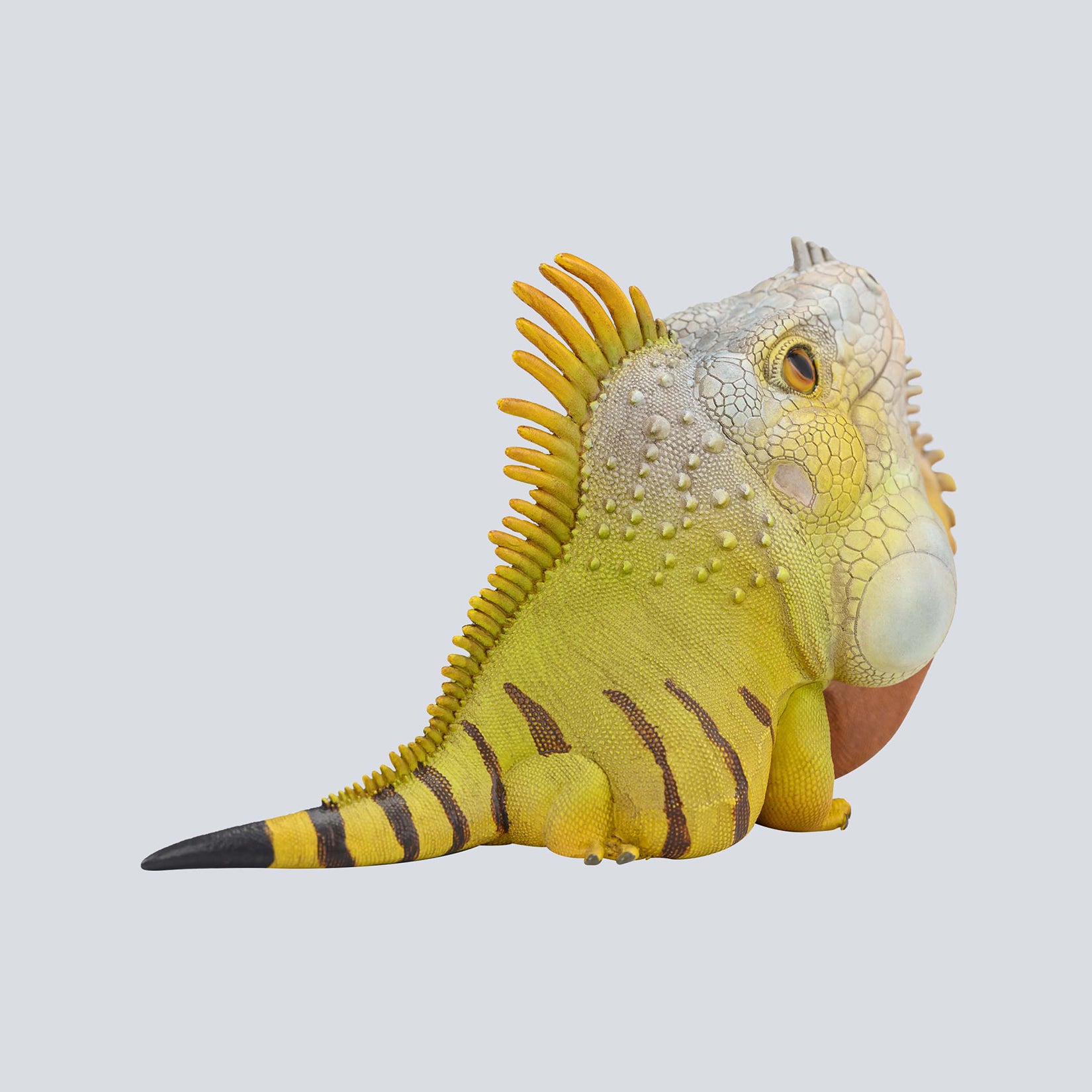 Animal Planet 16 Lizard Blind Box Model