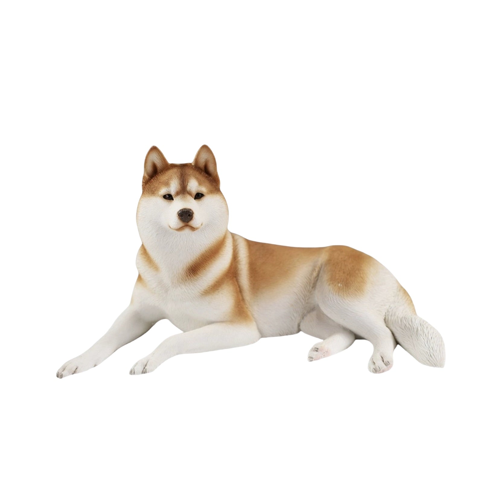 JXK 1/6 Siberian Husky 2.0 Figure