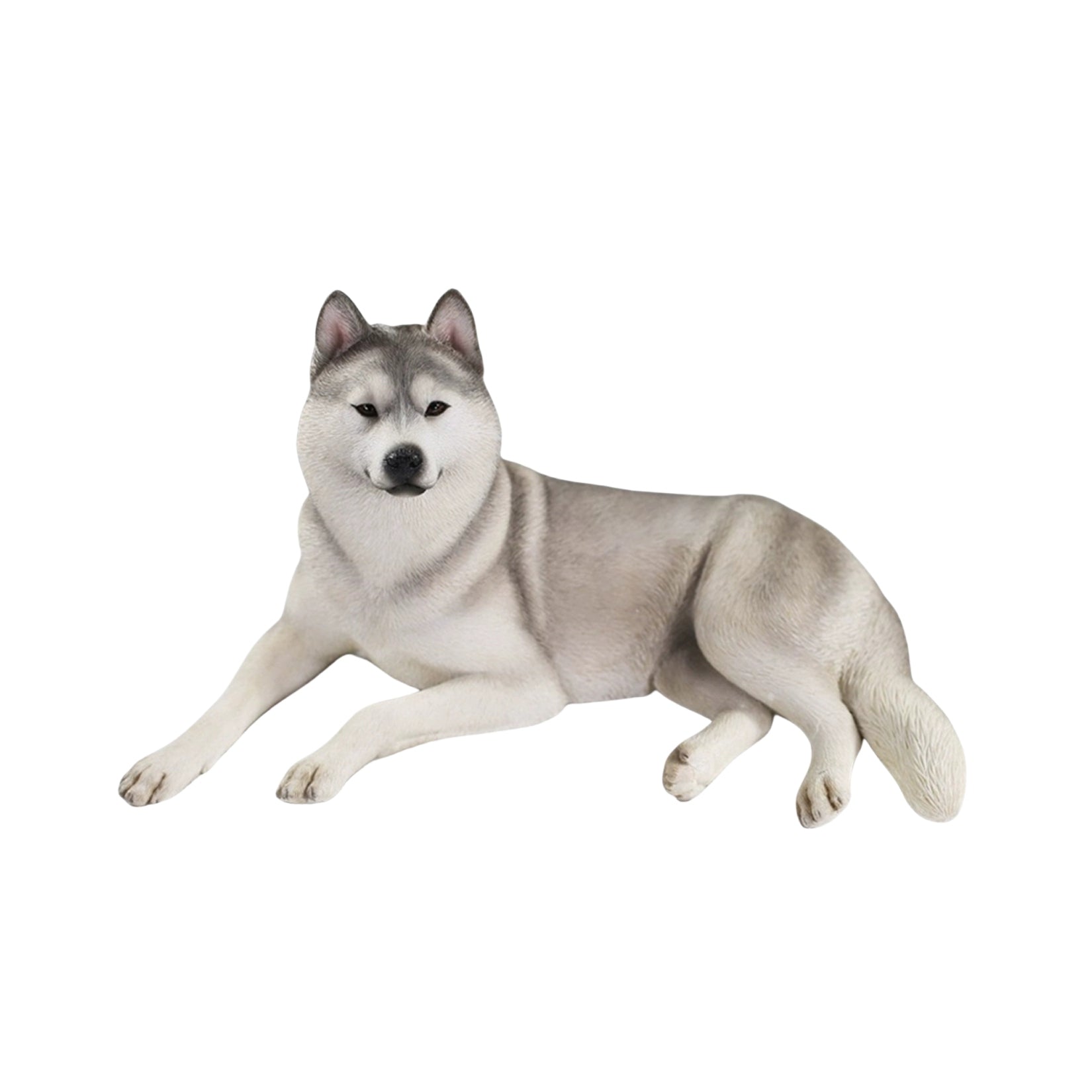 JXK 1/6 Siberian Husky 2.0 Figure