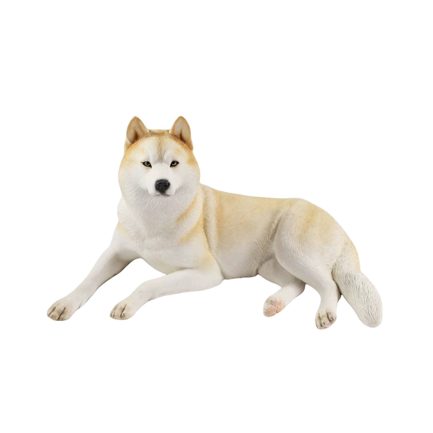 JXK 1/6 Siberian Husky 2.0 Figure