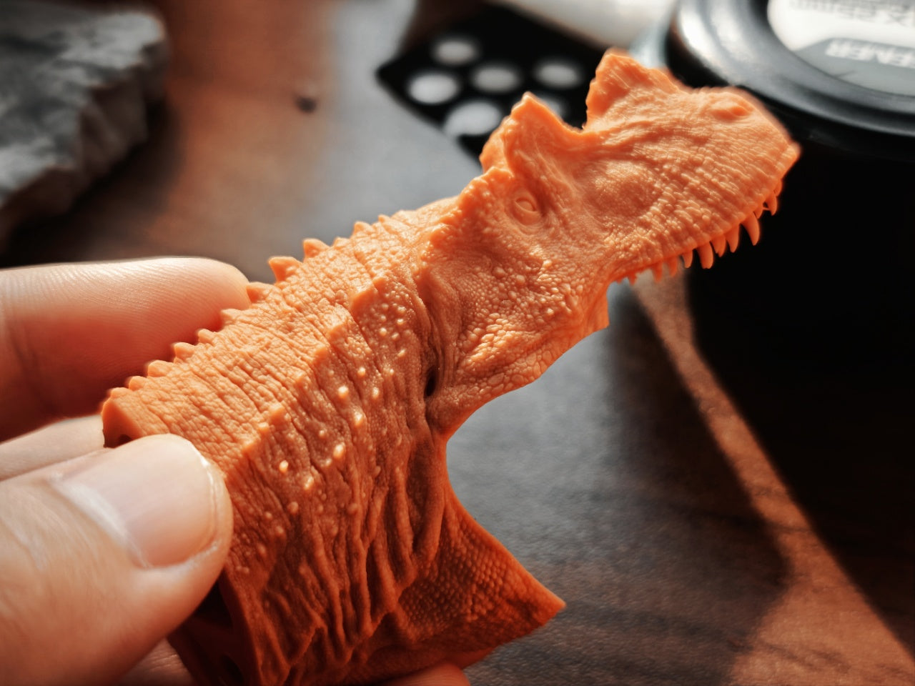 SHOWANNA Ceratosaurus dentisulcatus Model