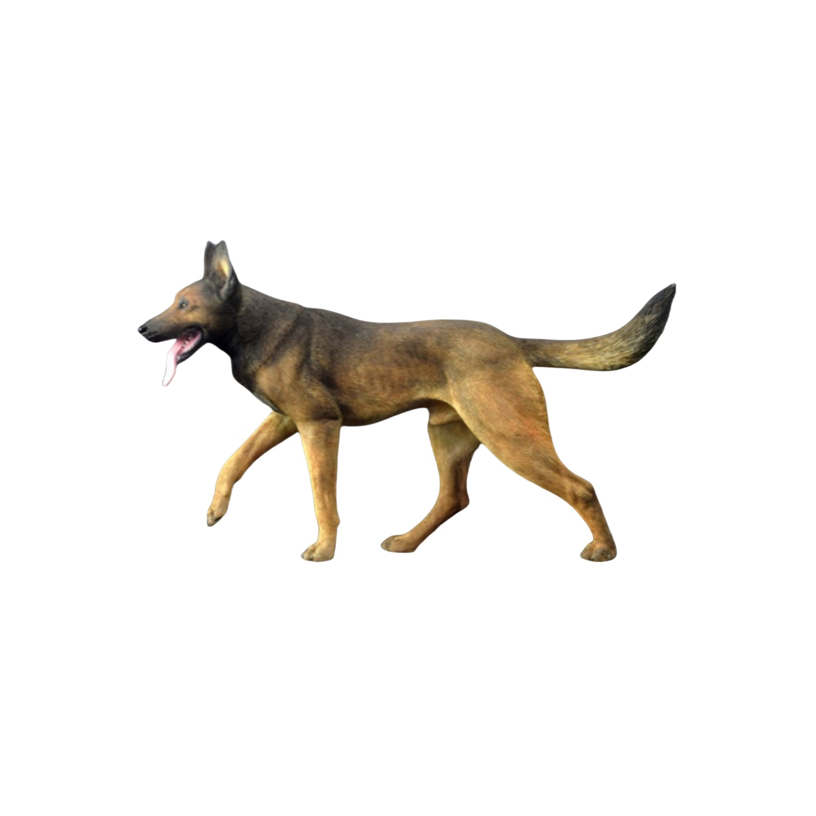 1/6 Working Belgian Malinois Figure