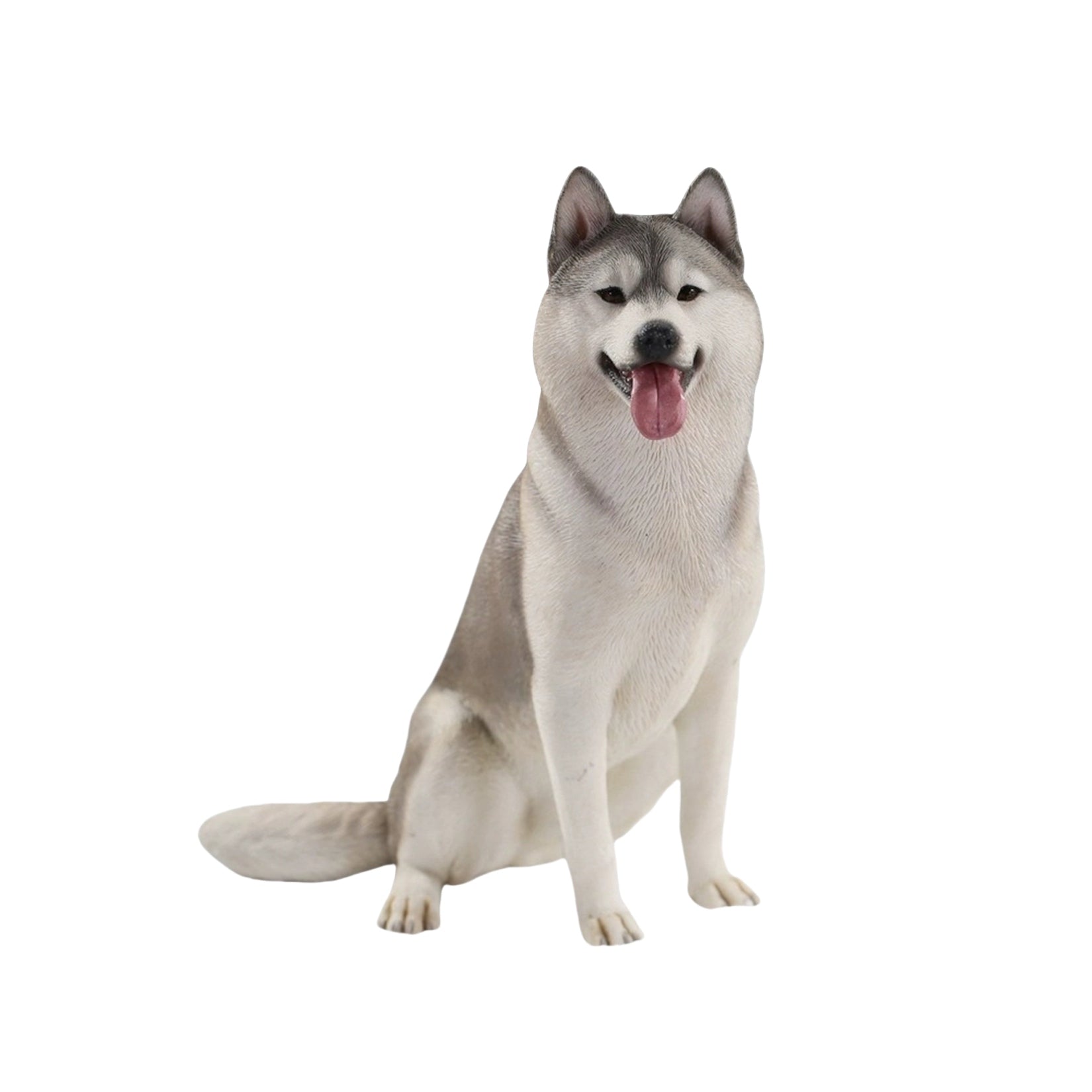 JXK 1/6 Siberian Husky 2.0 Figure