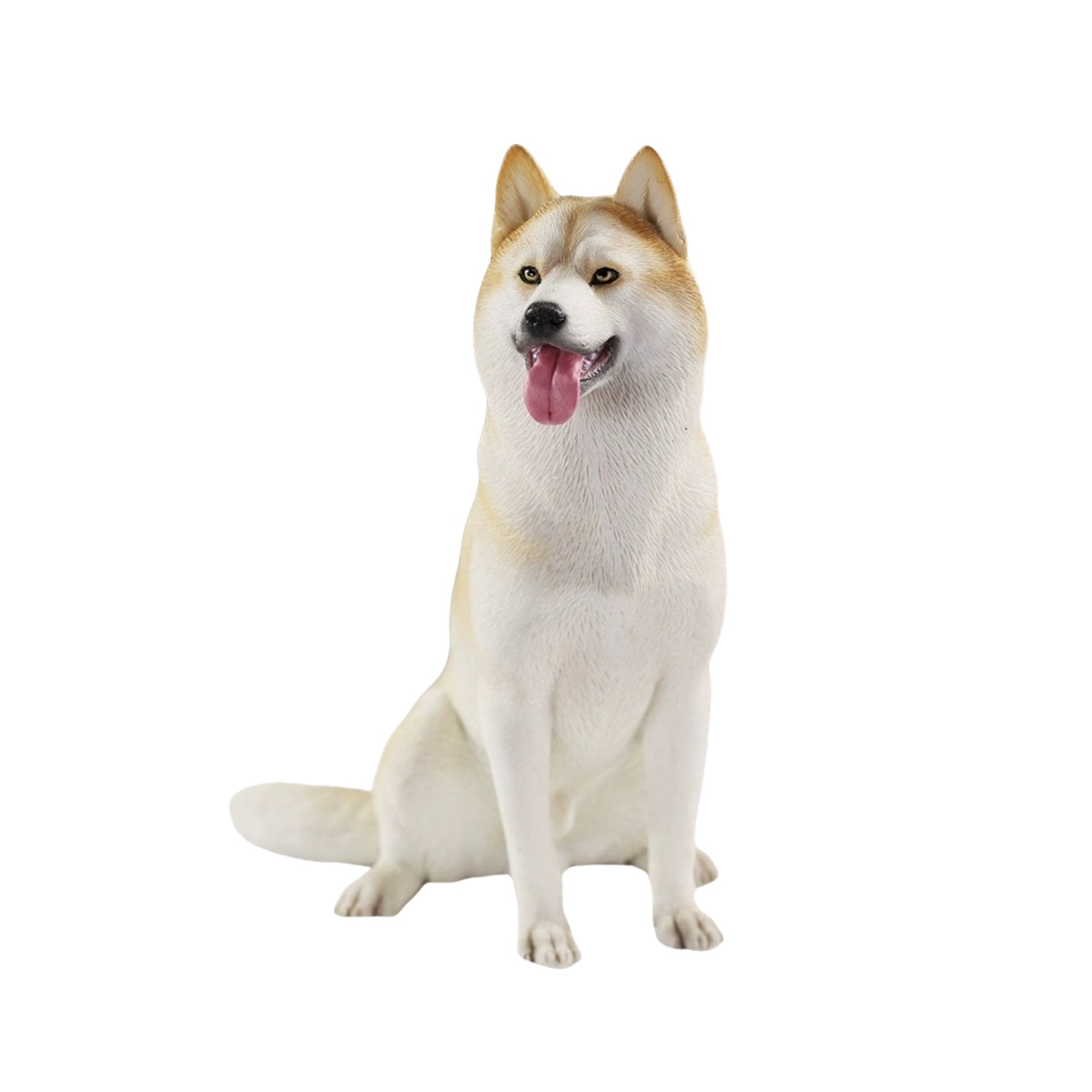JXK 1/6 Siberian Husky 2.0 Figure