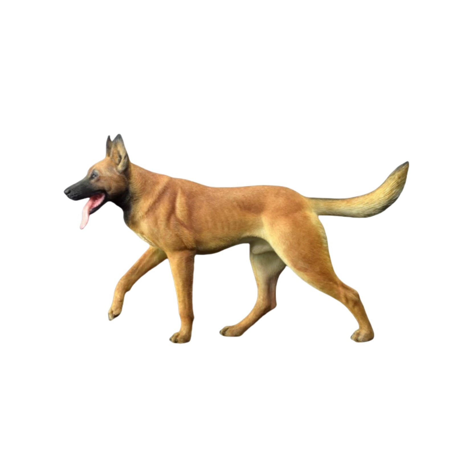 1/6 Working Belgian Malinois Figure