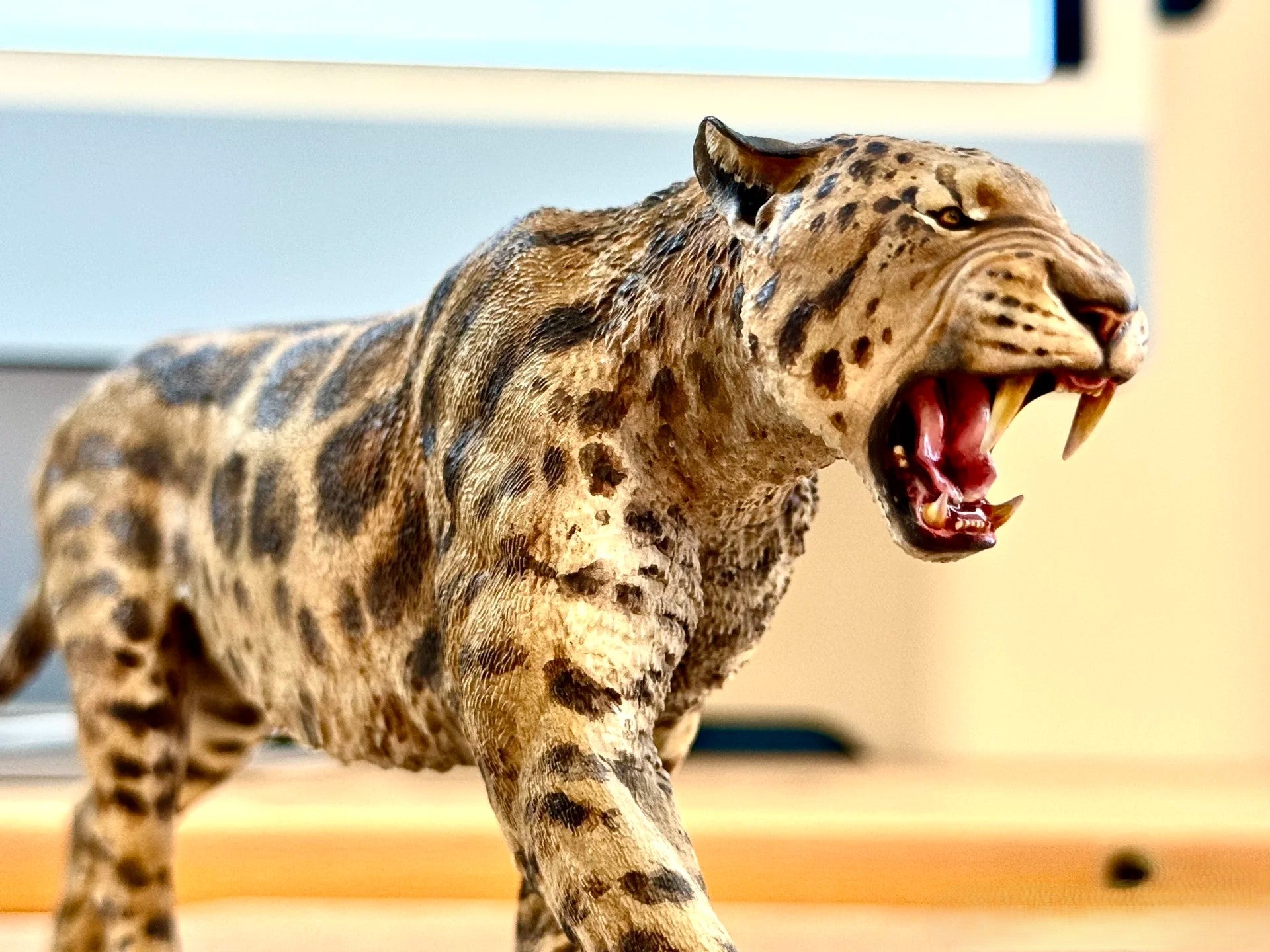KKBstudio Nimravides Catocopis Model