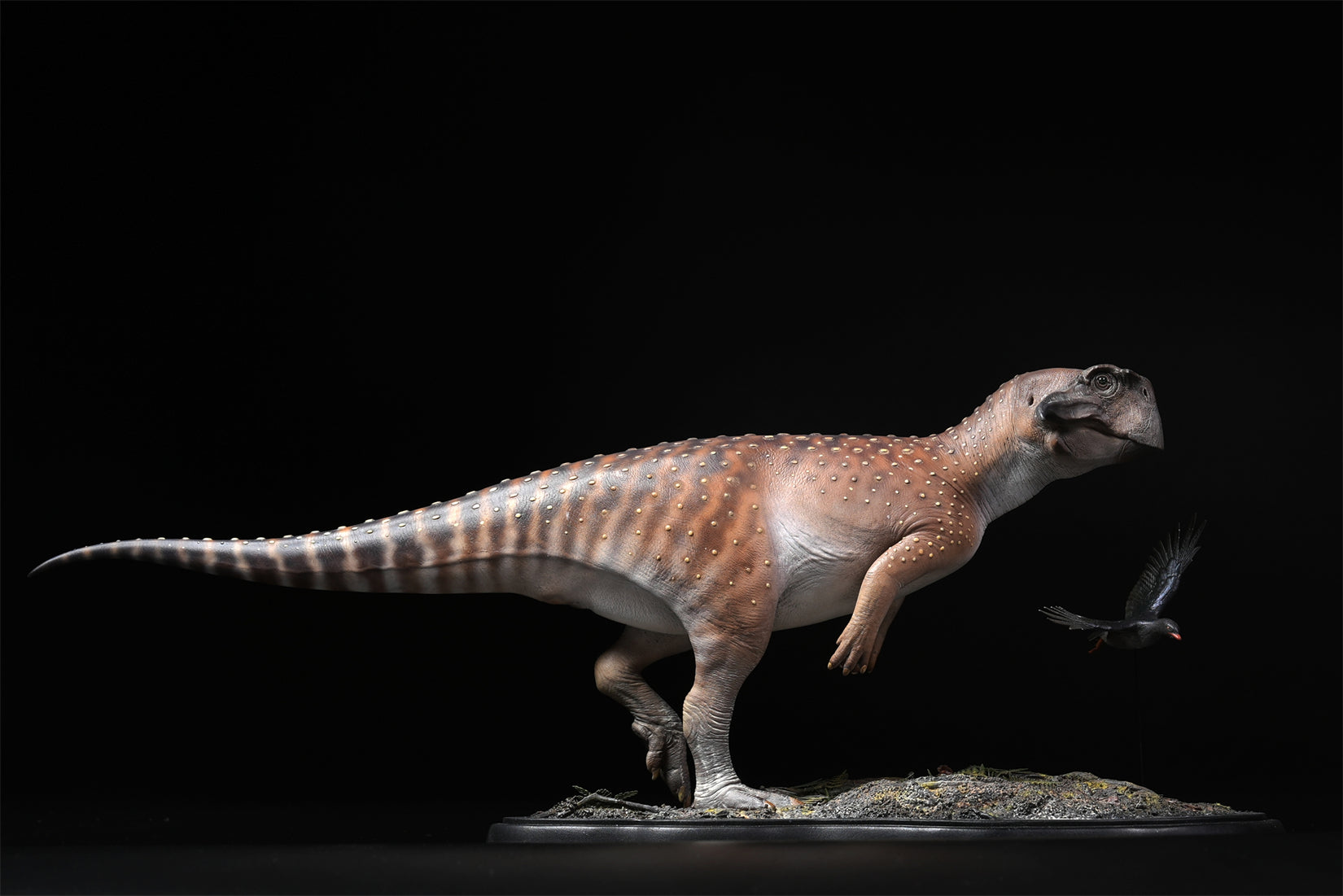 De CLAY Studio Psittacosaurus sibiricus Model