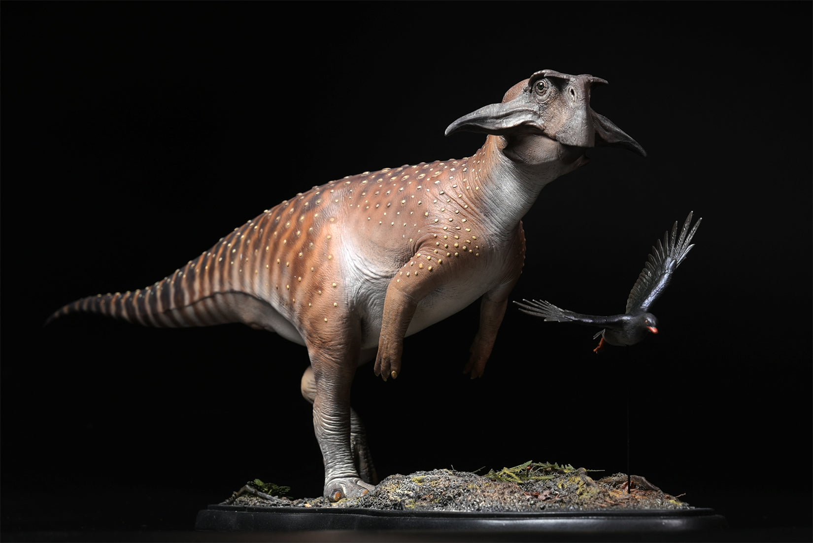 De CLAY Studio Psittacosaurus sibiricus Model