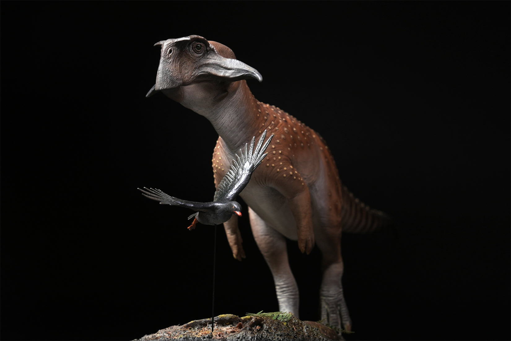 De CLAY Studio Psittacosaurus sibiricus Model