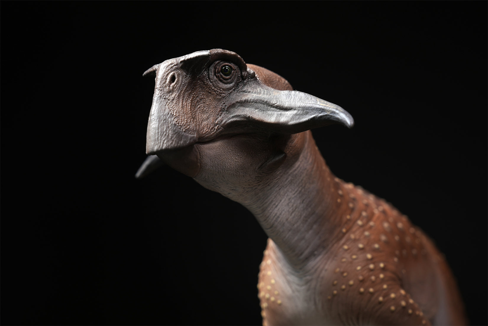 De CLAY Studio Psittacosaurus sibiricus Model