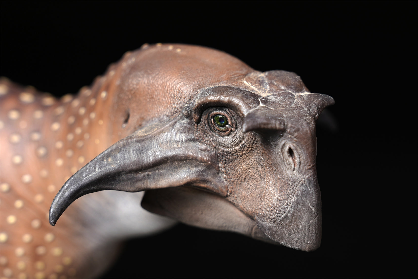 De CLAY Studio Psittacosaurus sibiricus Model
