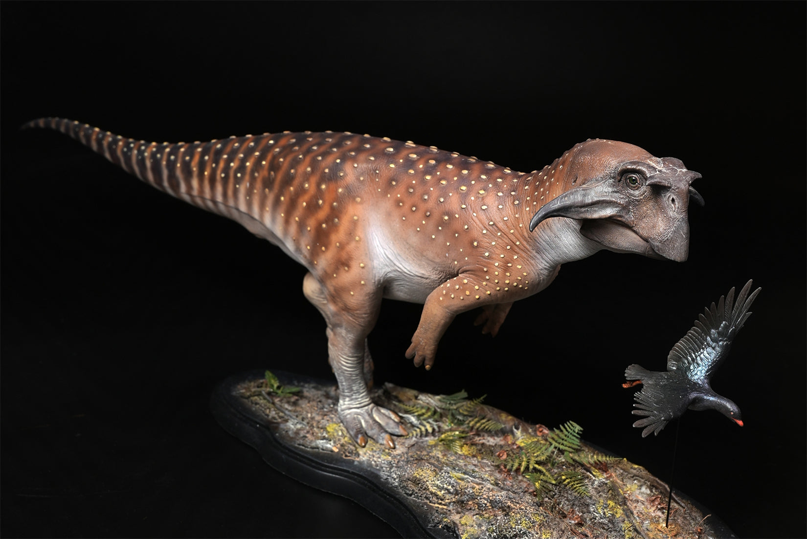 De CLAY Studio Psittacosaurus sibiricus Model