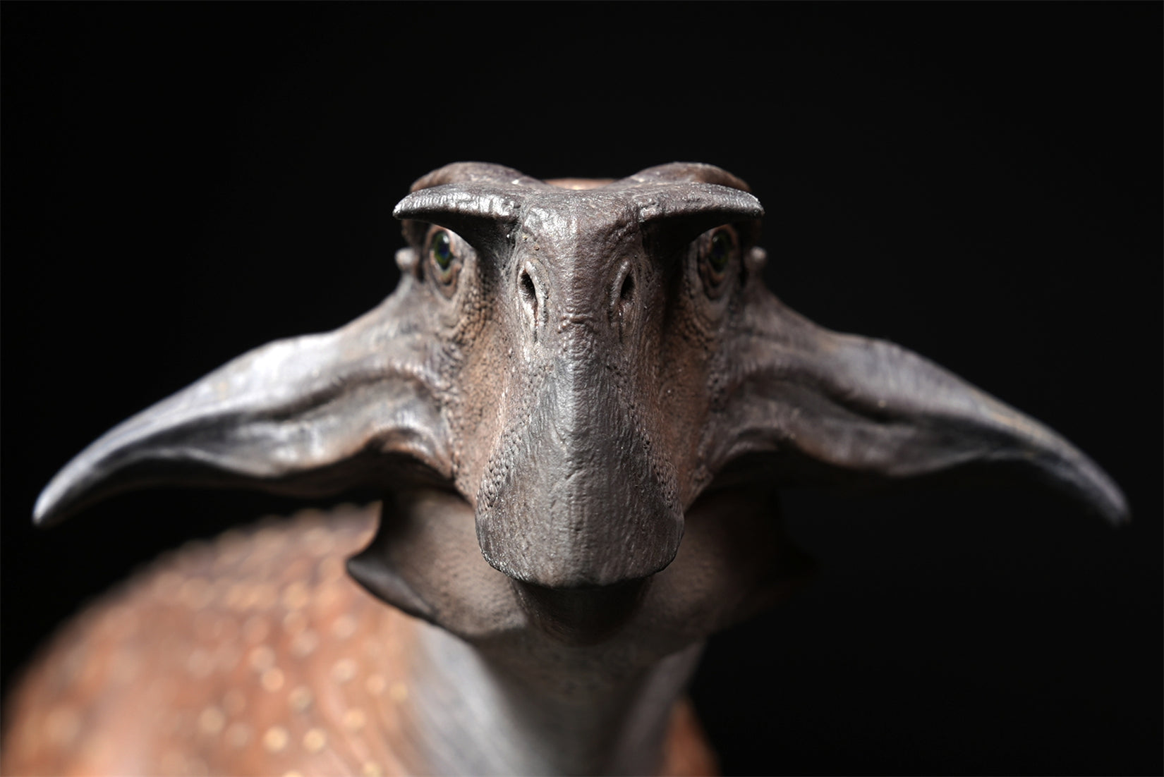 De CLAY Studio Psittacosaurus sibiricus Model