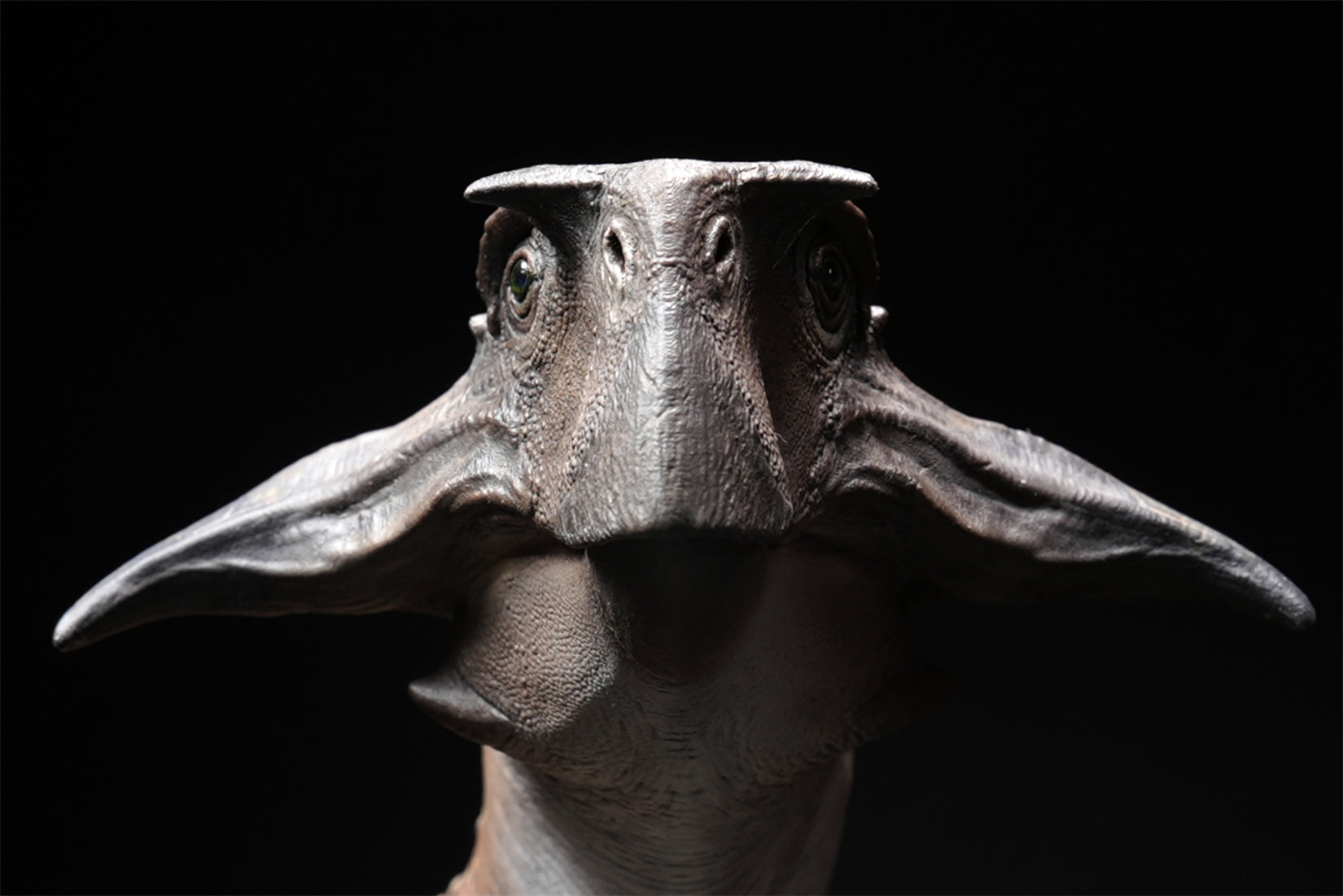 De CLAY Studio Psittacosaurus sibiricus Model