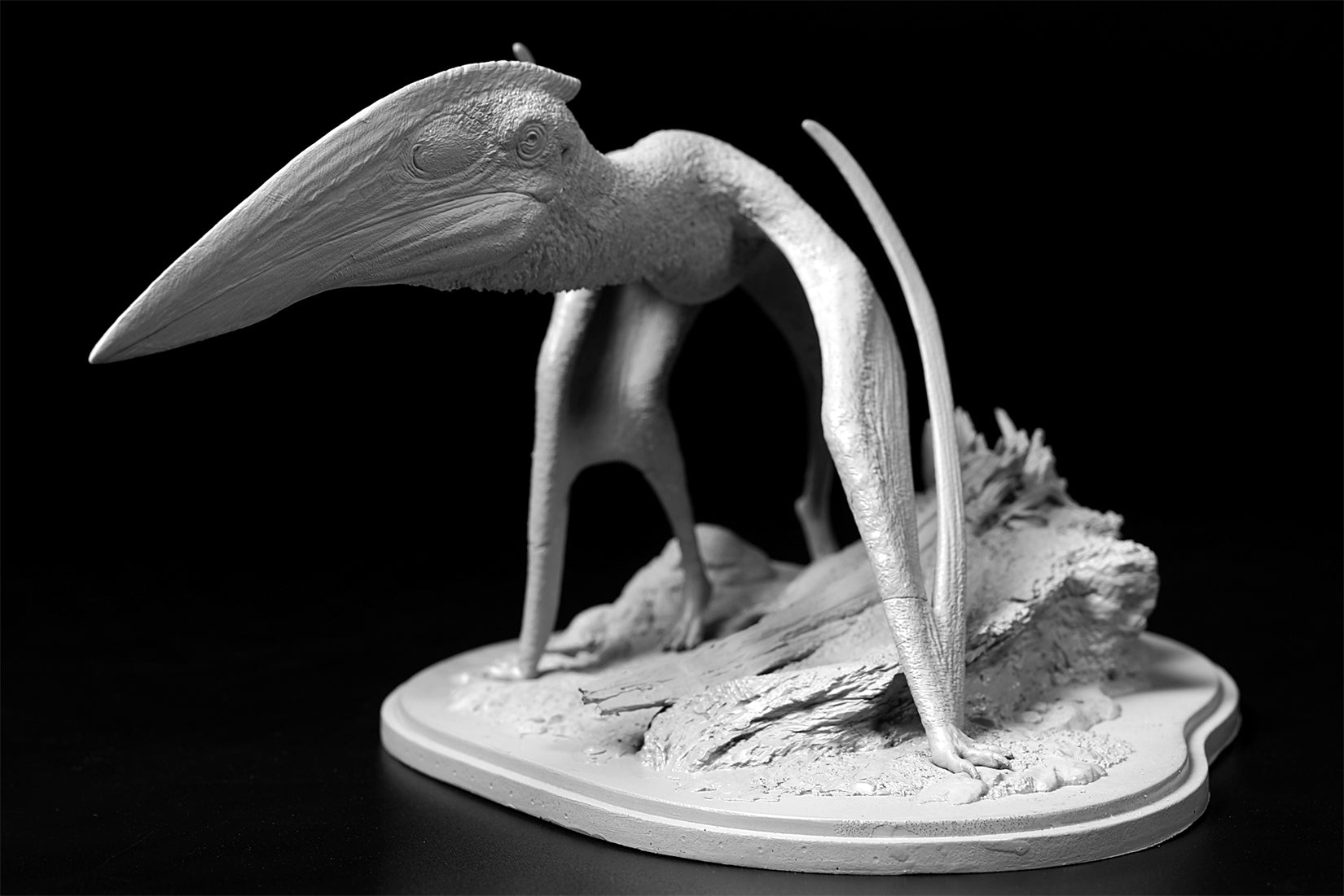 De CLAY Studio Hatzegopteryx thambema Model
