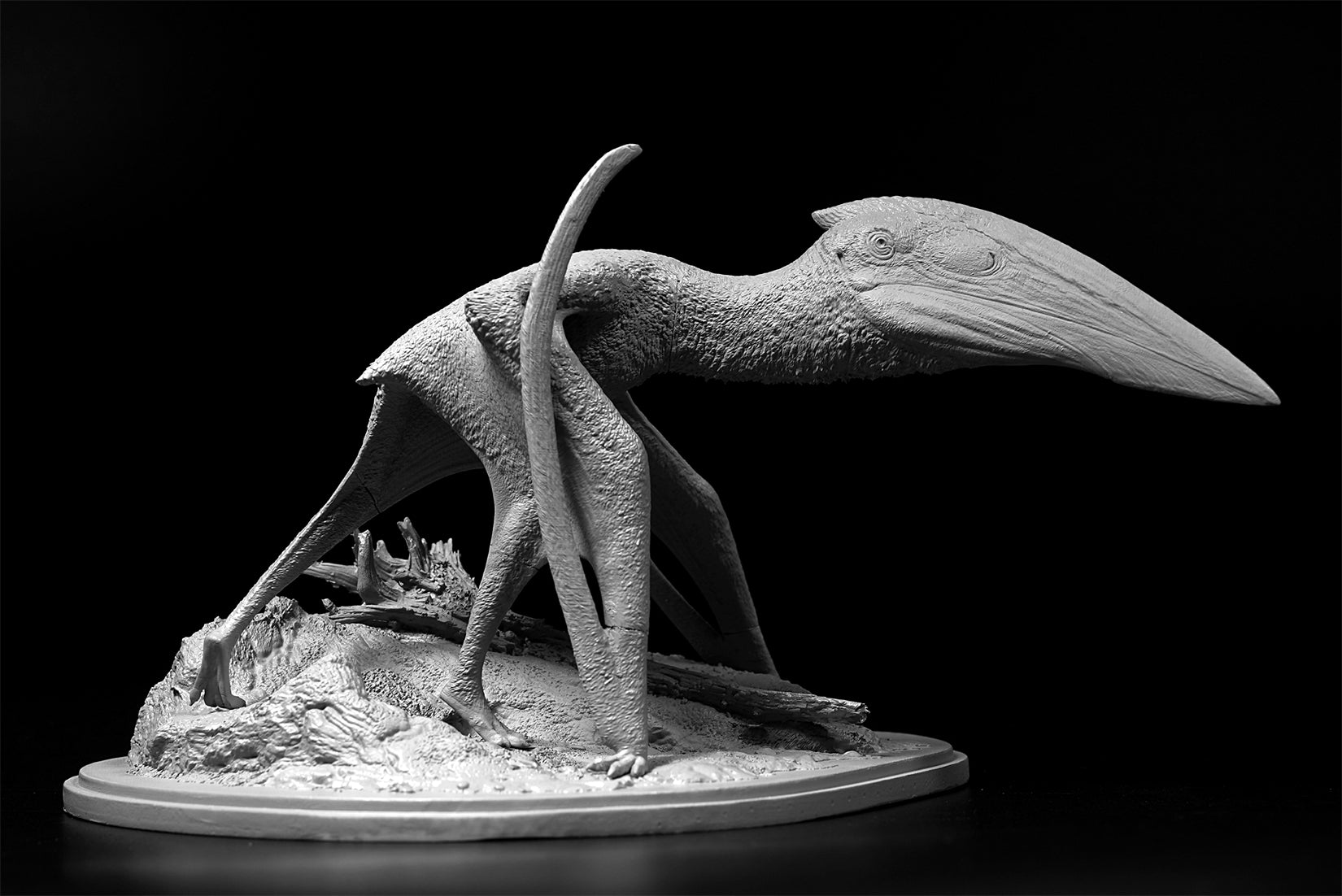 De CLAY Studio Hatzegopteryx thambema Model