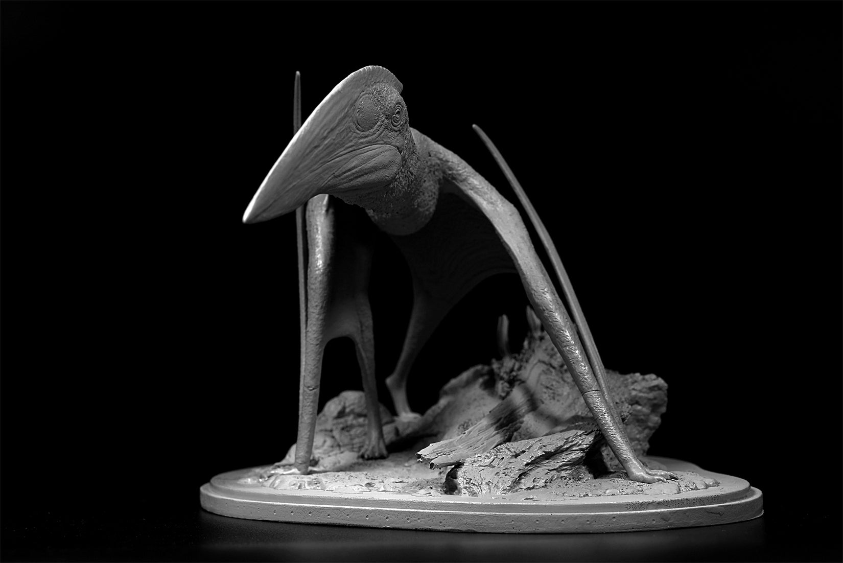 De CLAY Studio Hatzegopteryx thambema Model