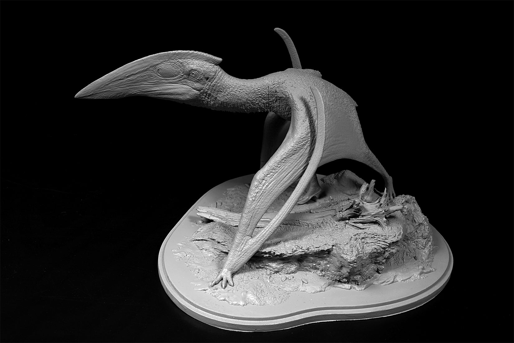 De CLAY Studio Hatzegopteryx thambema Model