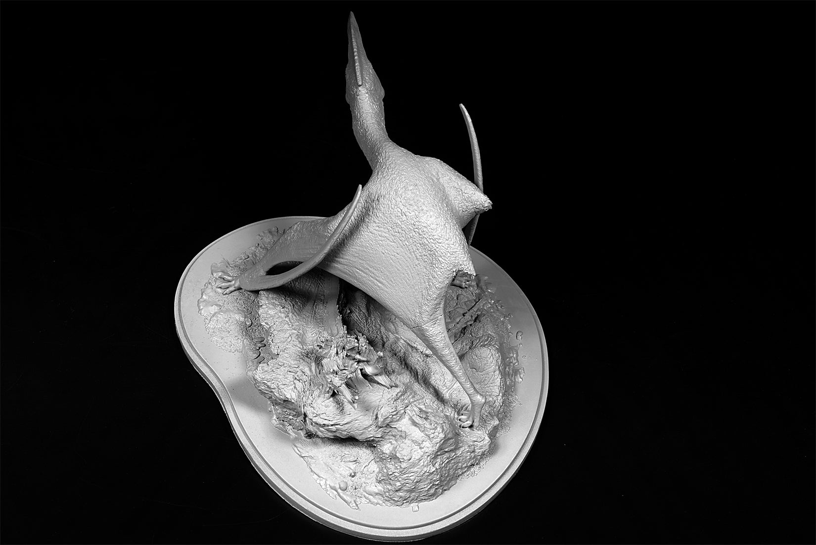 De CLAY Studio Hatzegopteryx thambema Model