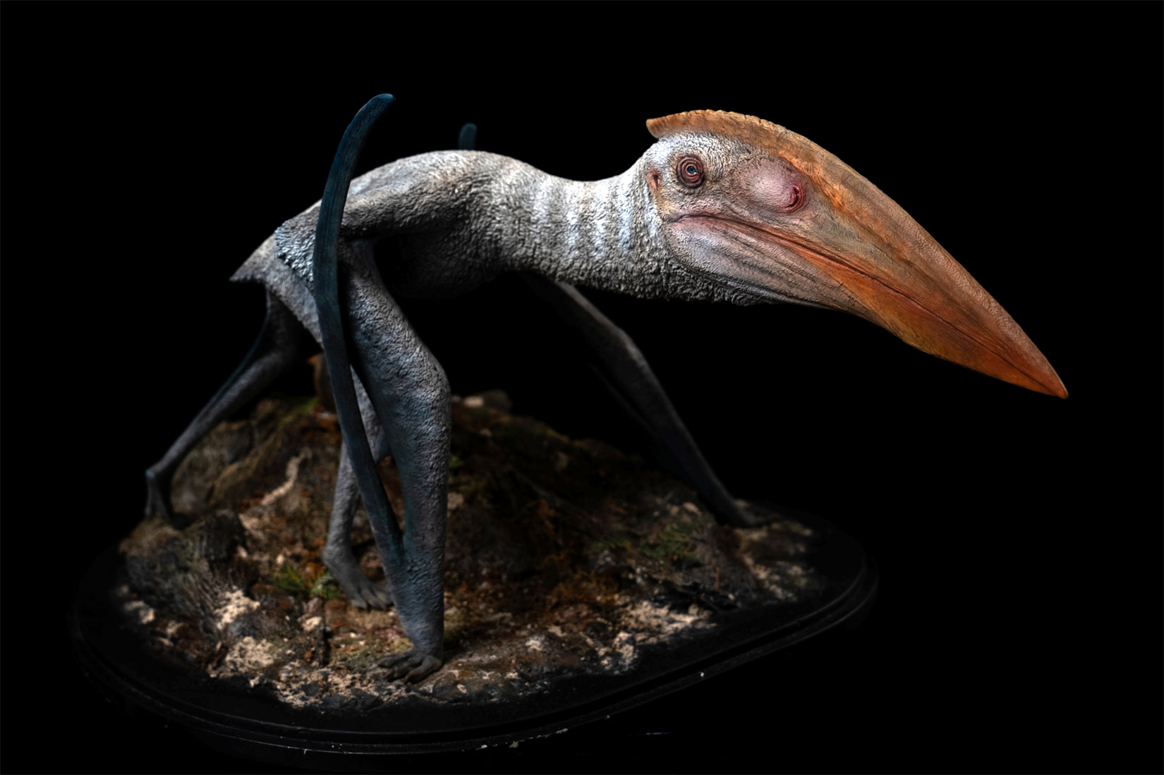 De CLAY Studio Hatzegopteryx thambema Model