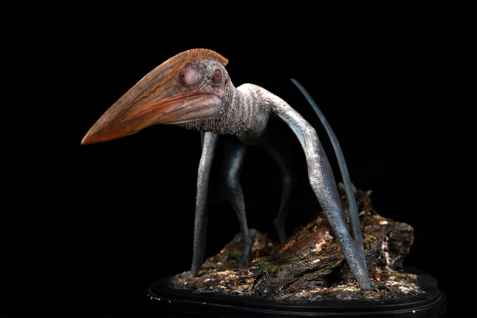 De CLAY Studio Hatzegopteryx thambema Model