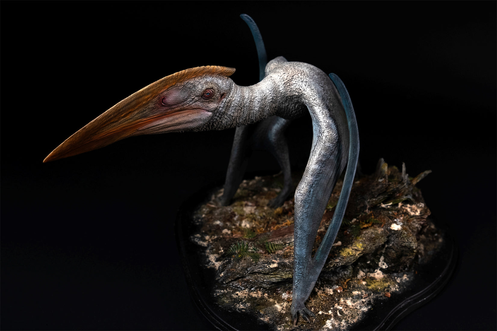 De CLAY Studio Hatzegopteryx thambema Model