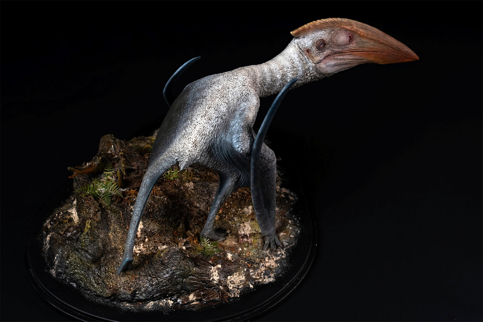 De CLAY Studio Hatzegopteryx thambema Model