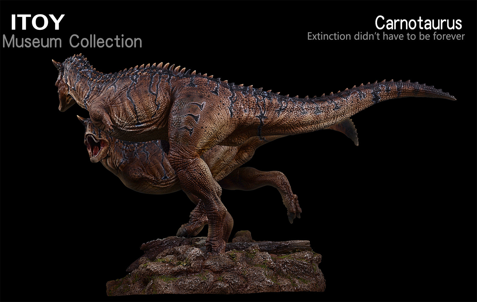 ITOY 1/15 Pair Carnotaurus Statue New Color