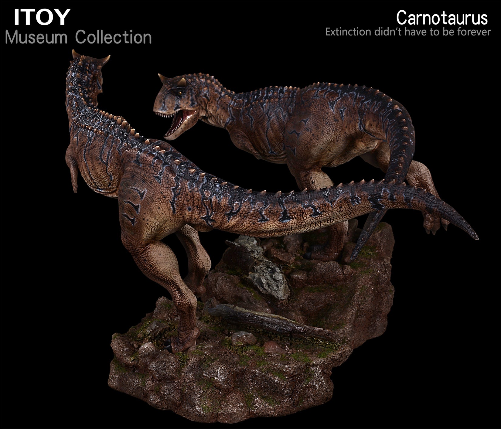 ITOY 1/15 Pair Carnotaurus Statue New Color