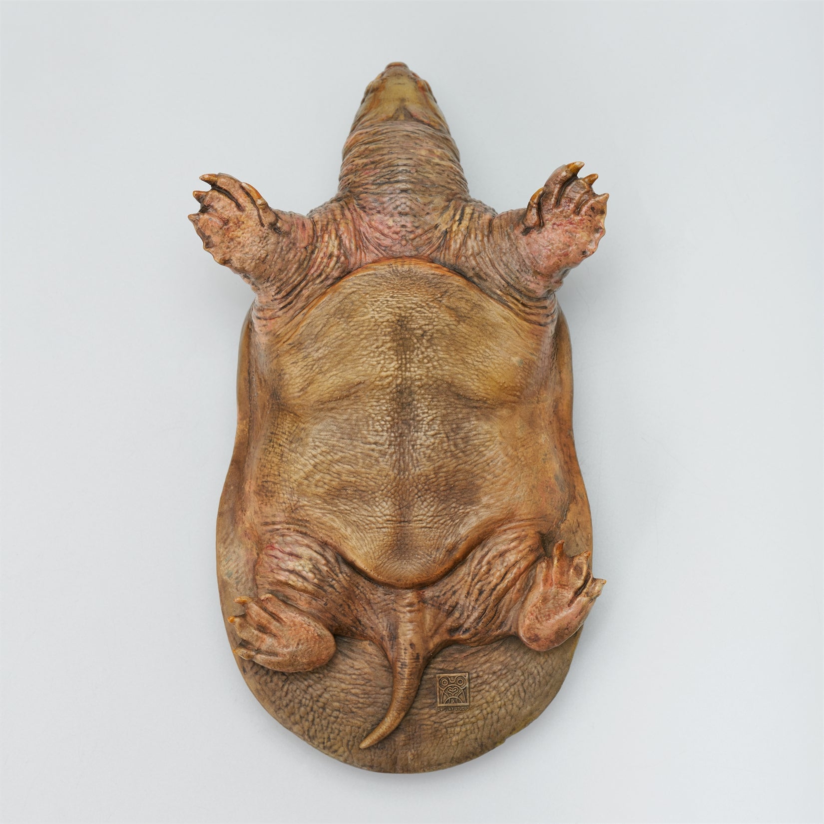De CLAY Studio Yangtze giant softshell turtle Model