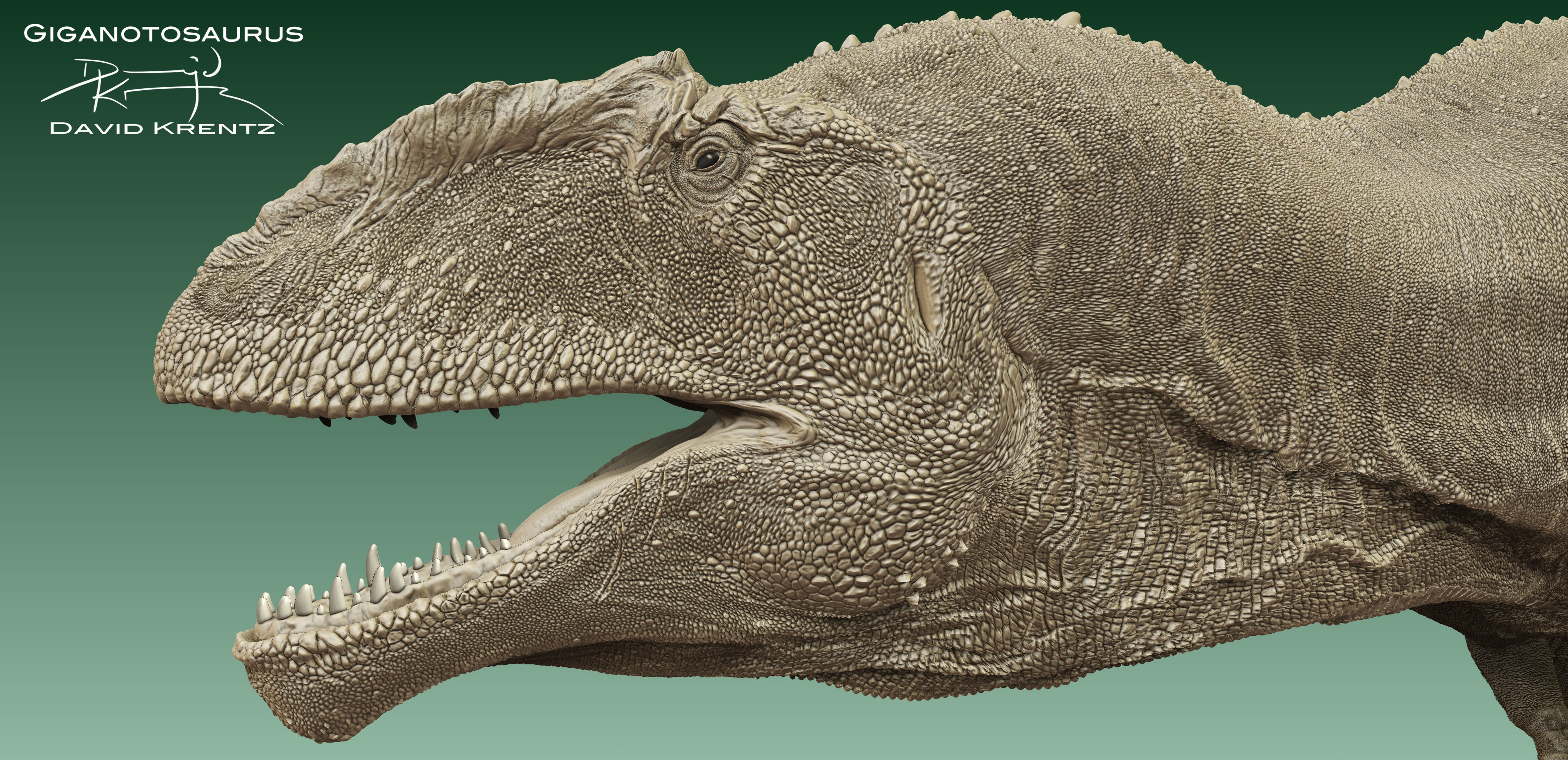 Anningpale Giganotosaurus carolinii Scene Model