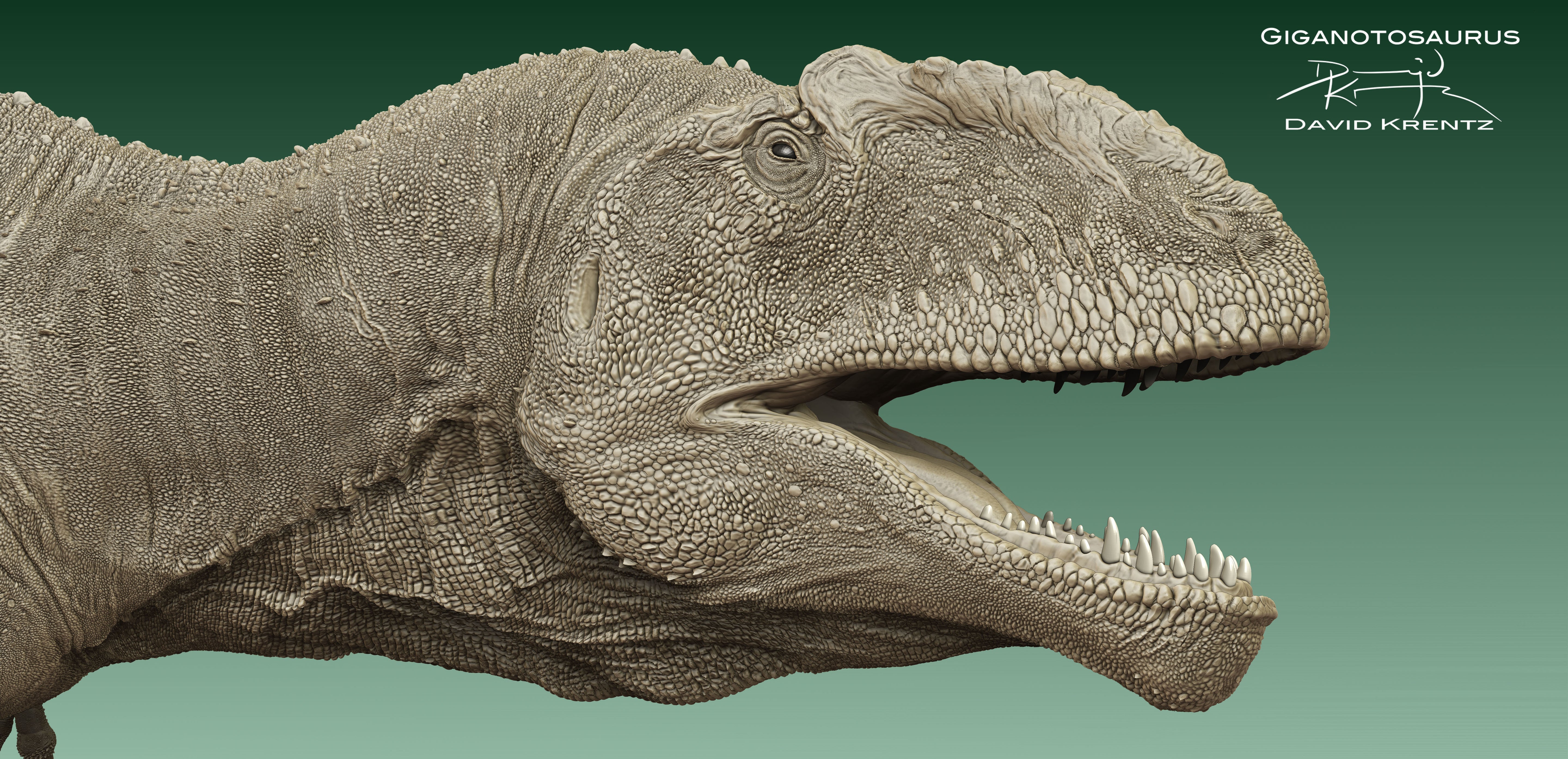 Anningpale Giganotosaurus carolinii Scene Model