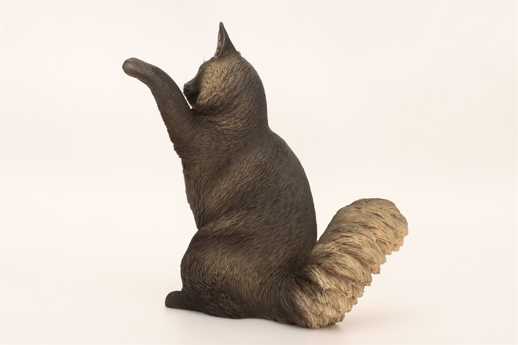 1/6 Maine Coon Cat Figure