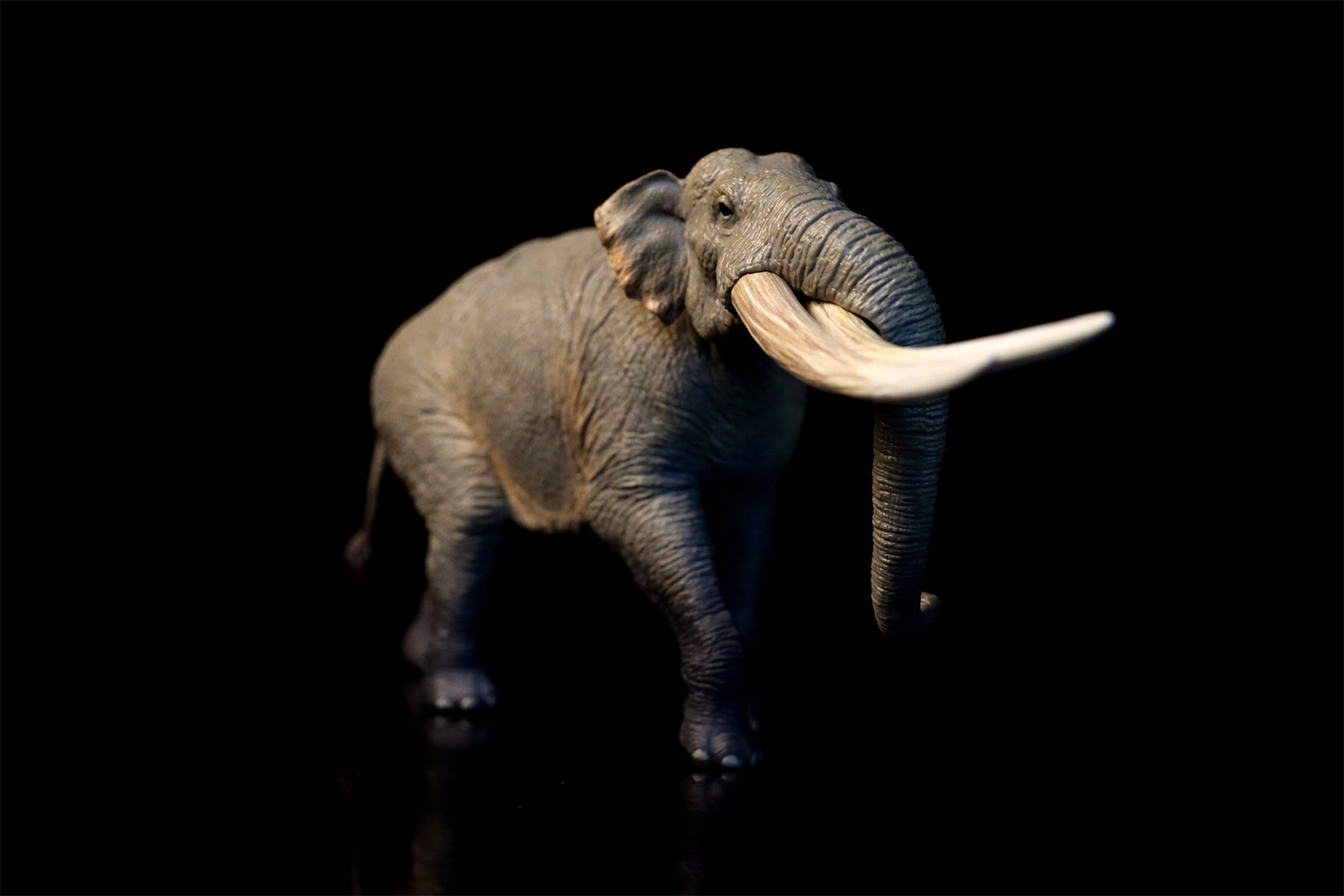 TNG Elasmotherium Megatherium Woolly Mammoth Stegodon Brontotheriidae Smilodon Figure