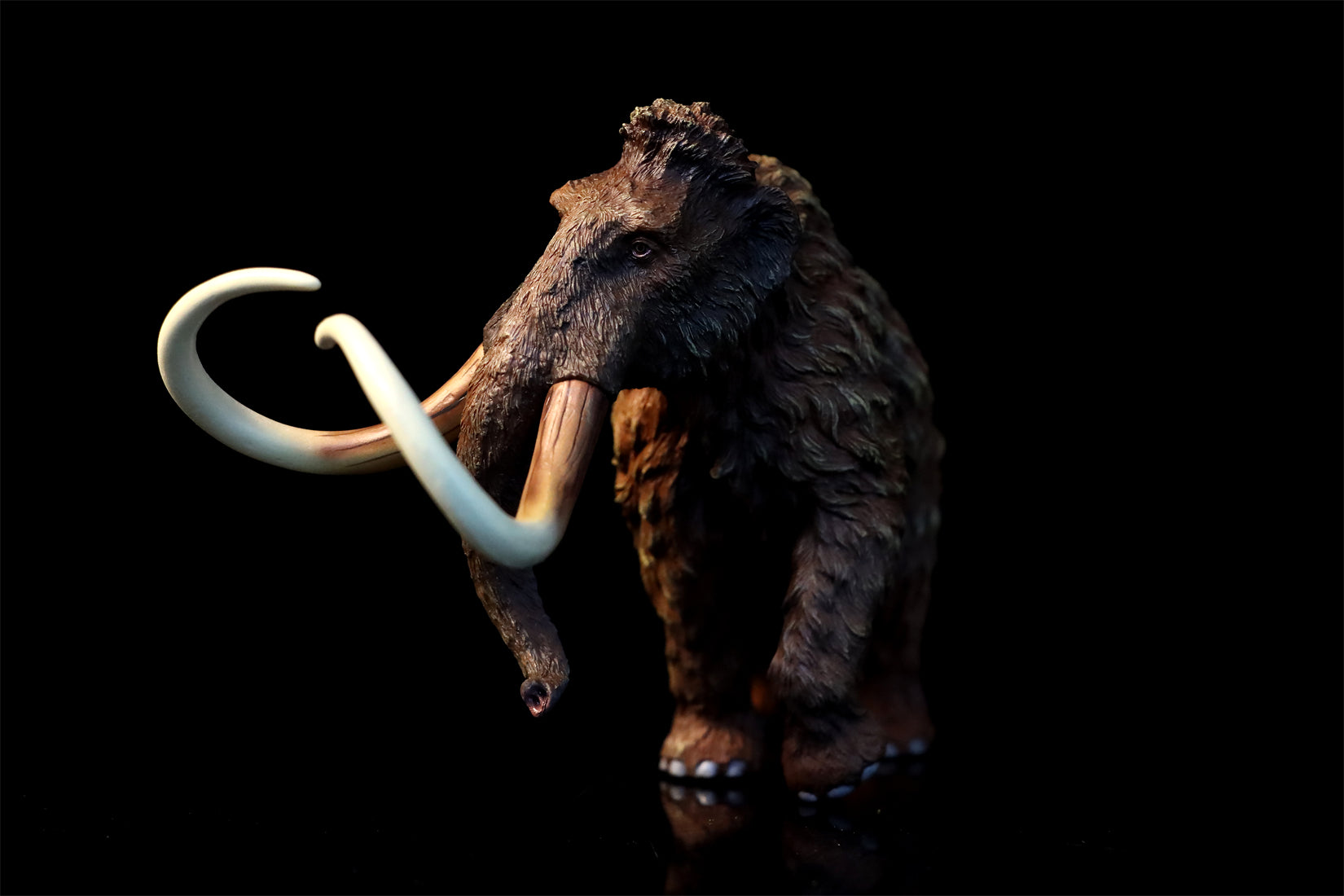 TNG Elasmotherium Megatherium Woolly Mammoth Stegodon Brontotheriidae Smilodon Figure