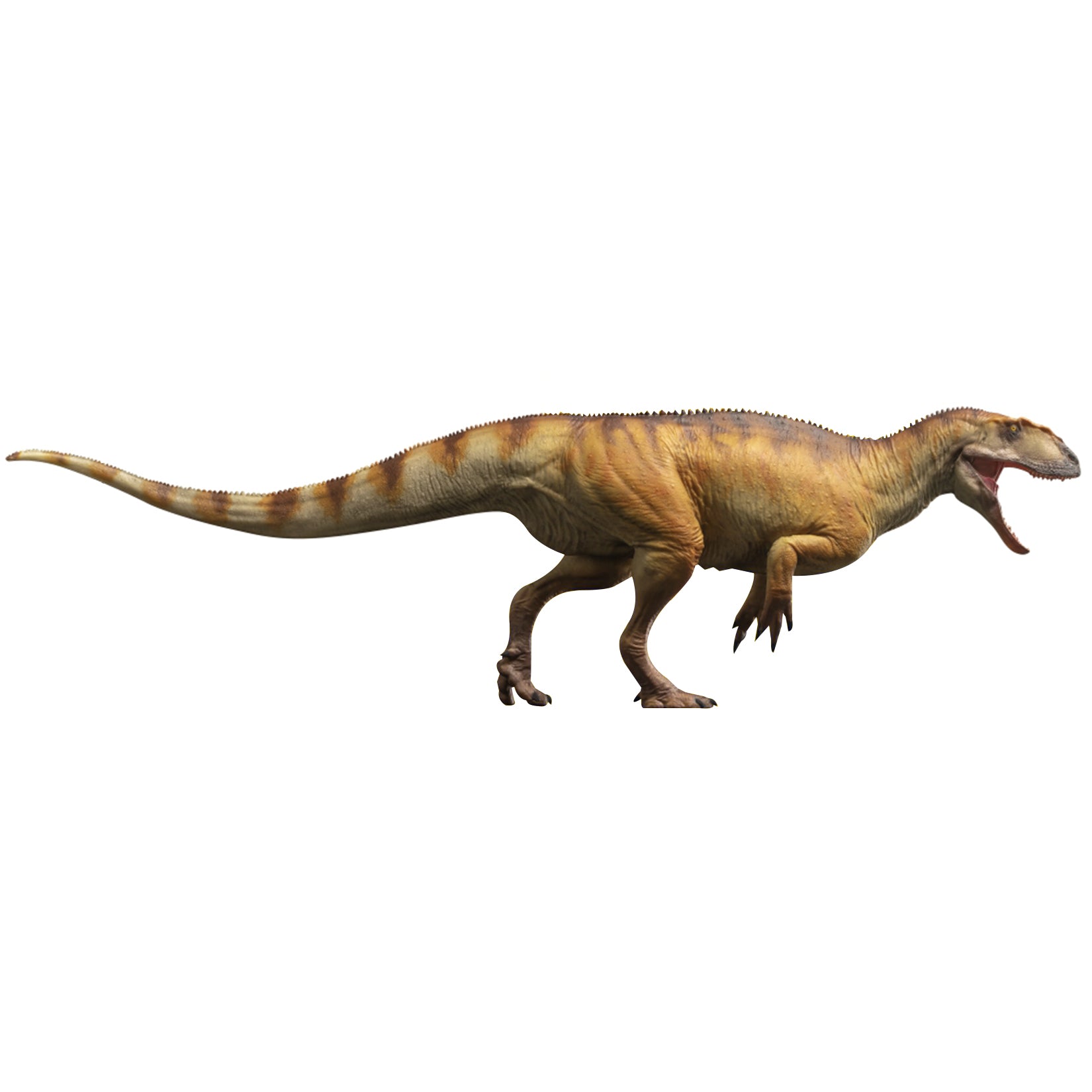 PNSO Yangchuanosaurus shangyouensis Dayong Model