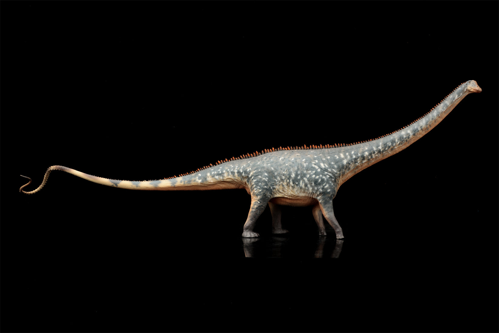 HAOLONGGOOD 1:35 Scale Diplodocus Model