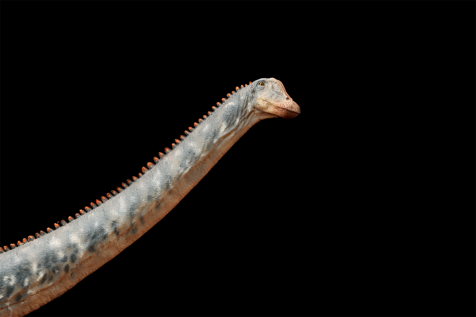 HAOLONGGOOD 1:35 Scale Diplodocus Model