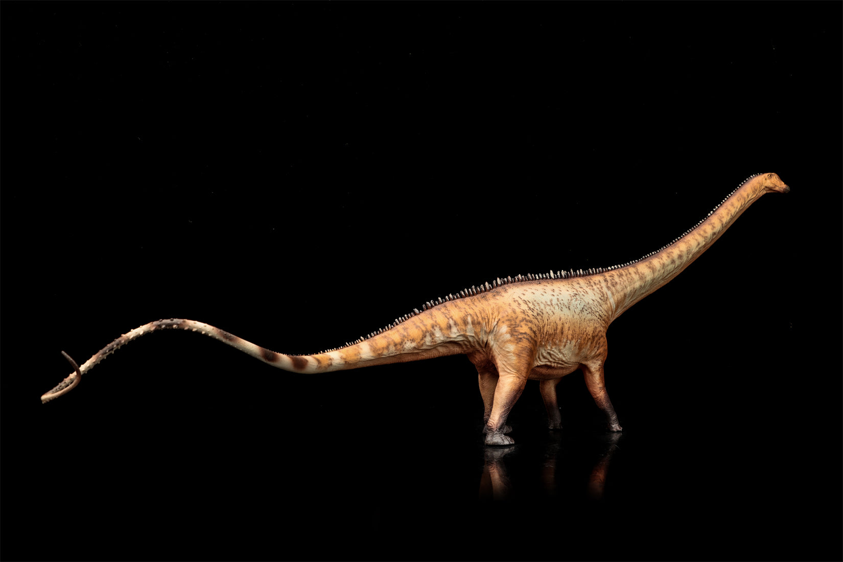 HAOLONGGOOD 1:35 Scale Diplodocus Model