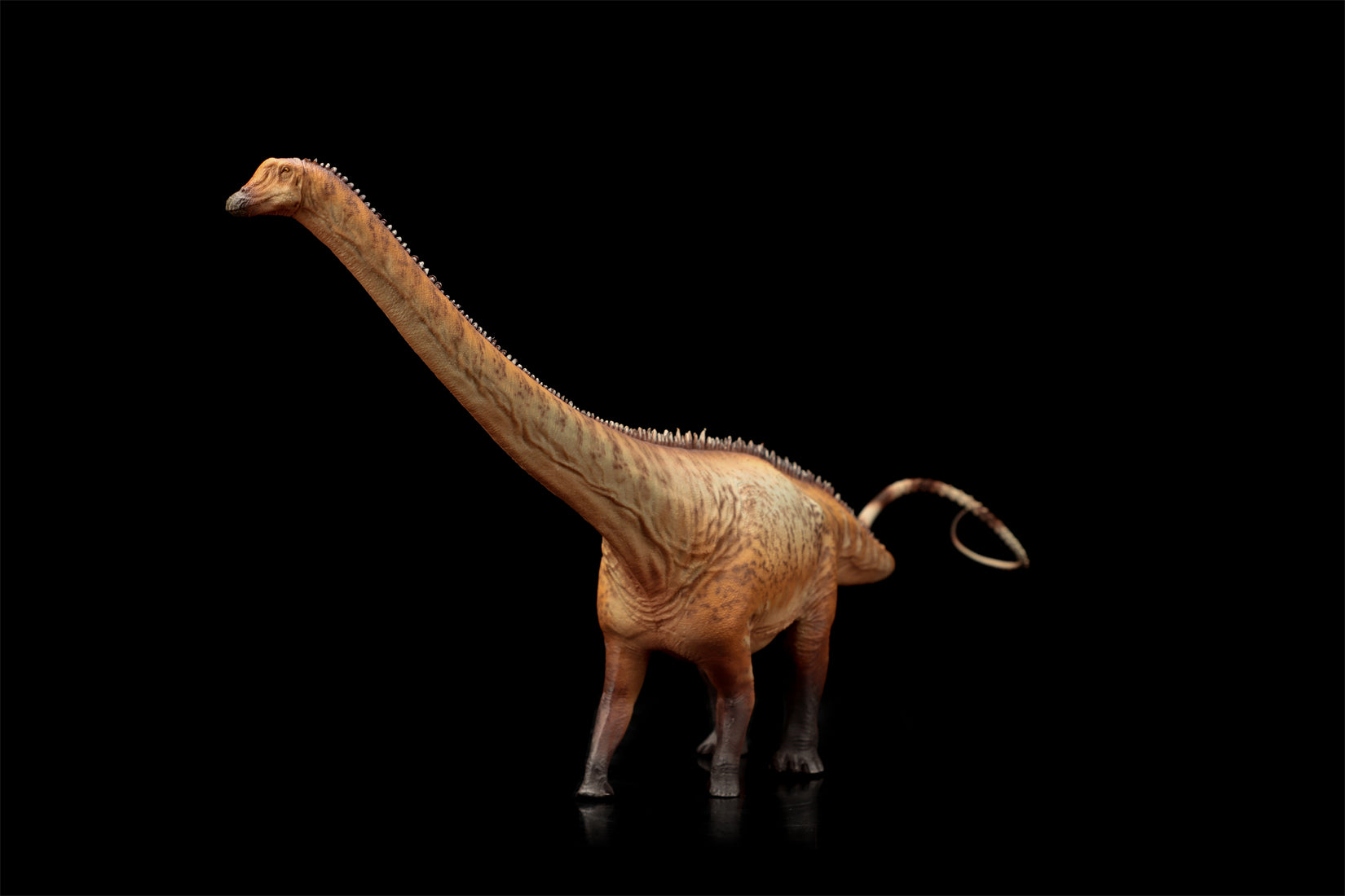 HAOLONGGOOD 1:35 Scale Diplodocus Model