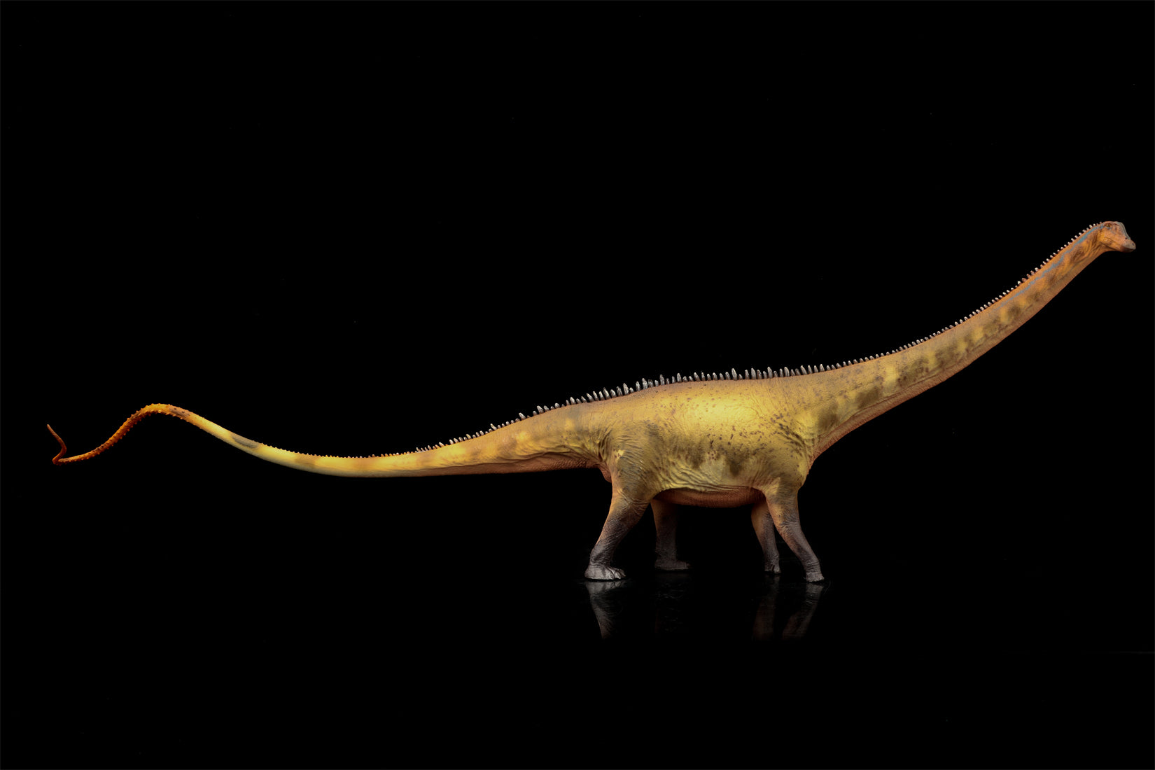 HAOLONGGOOD 1:35 Scale Diplodocus Model
